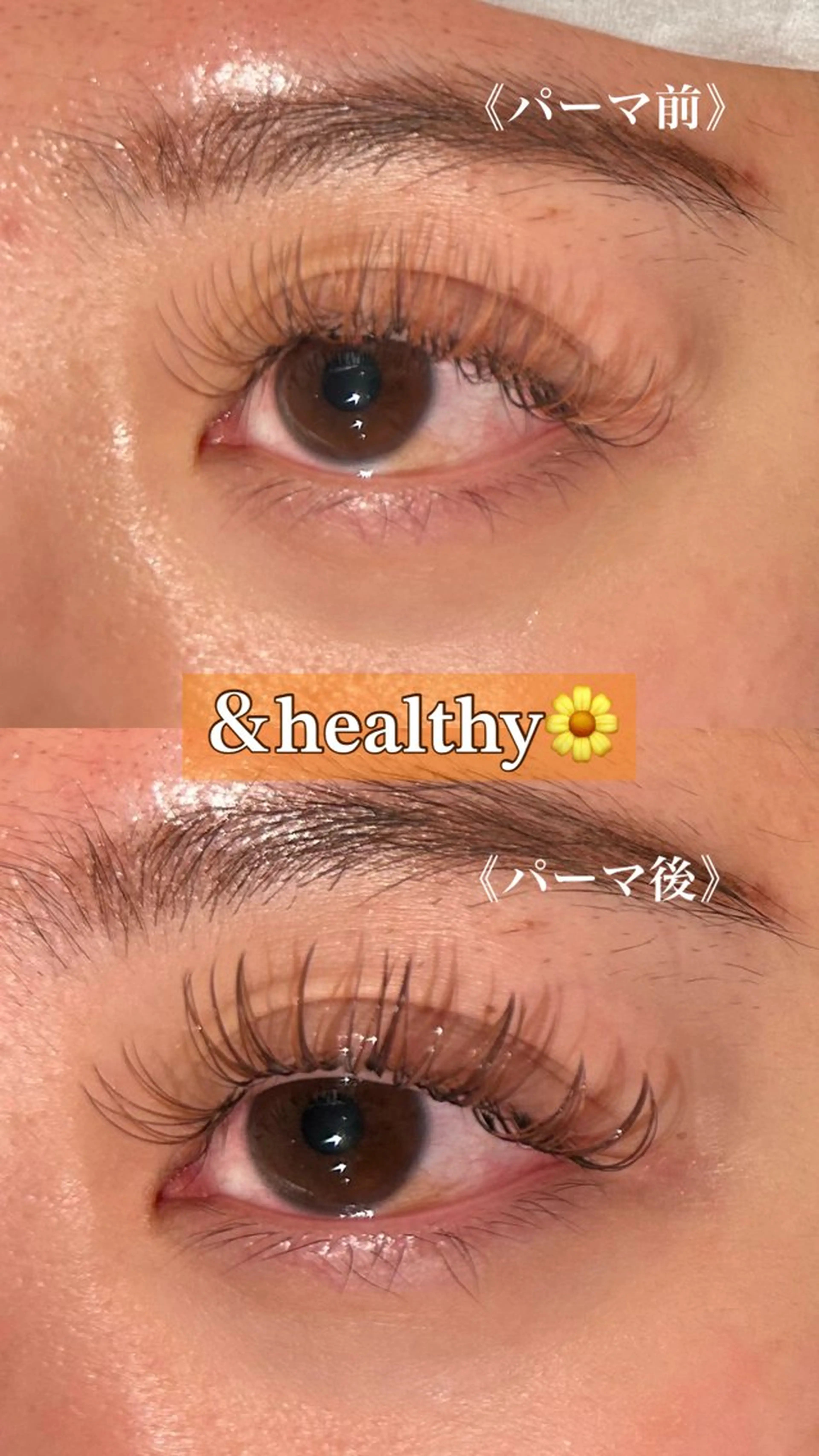 マツエク・マツパ マツエク Calm 茅ヶ崎 Ogataのマツエク・マツパデザイン