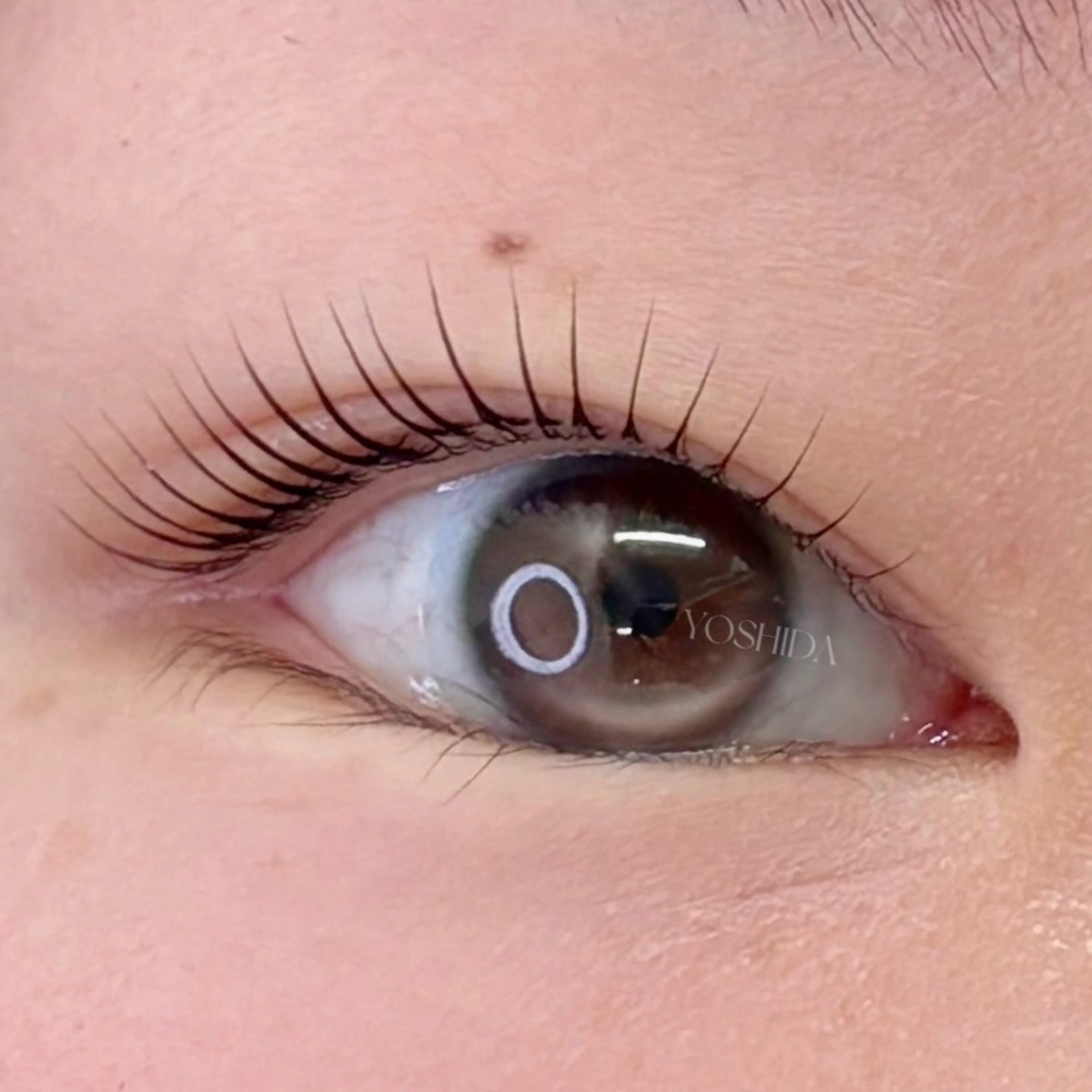マツエク・マツパ マツパ 【一重┊︎奥二重】 YOSHIDA🌙の眉毛・アイブロウイメージ