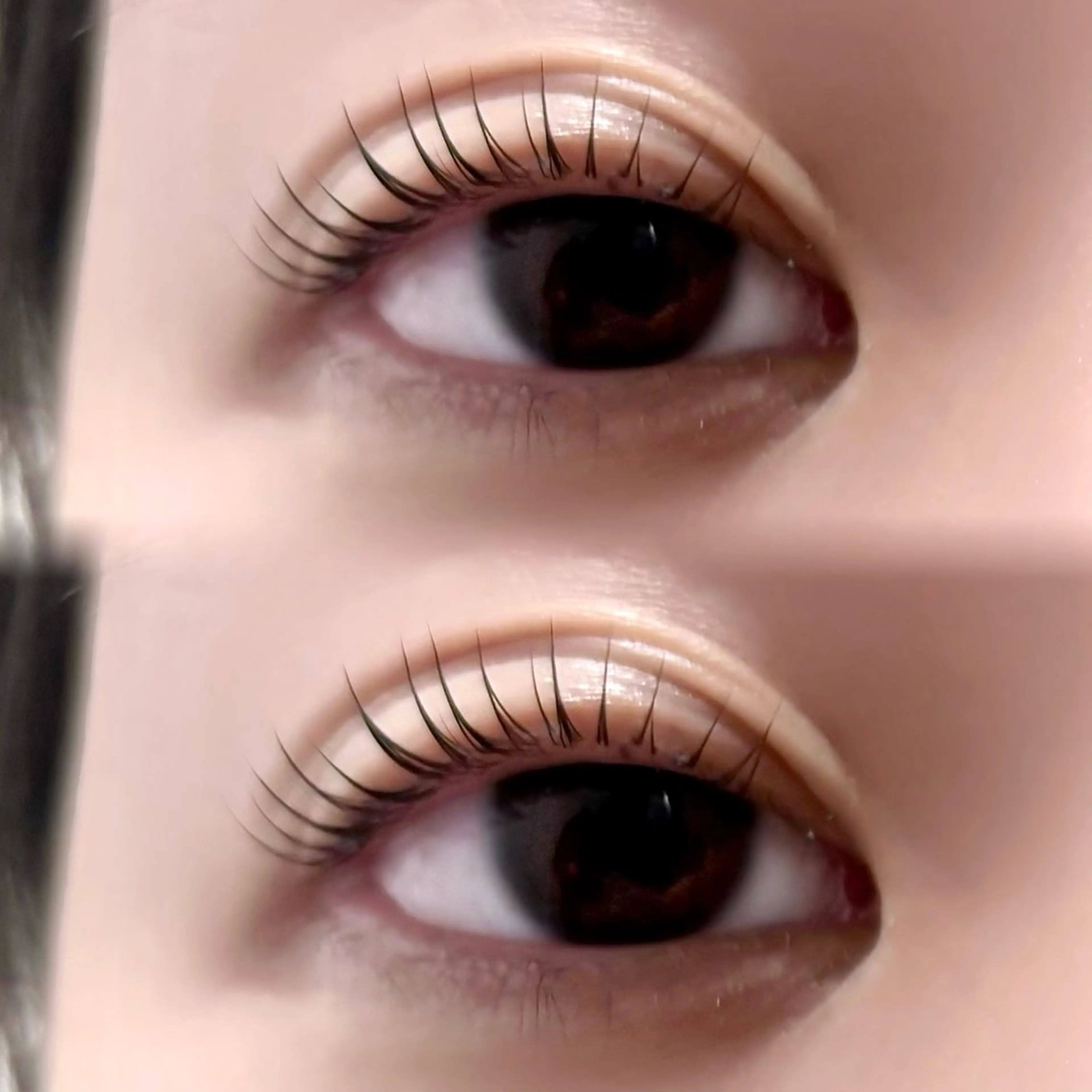 ãããšã¯ã»ããã ããã ðð®ð«ð ââºË³â§àŒã®ãããšã¯ã»ããããã¶ã€ã³