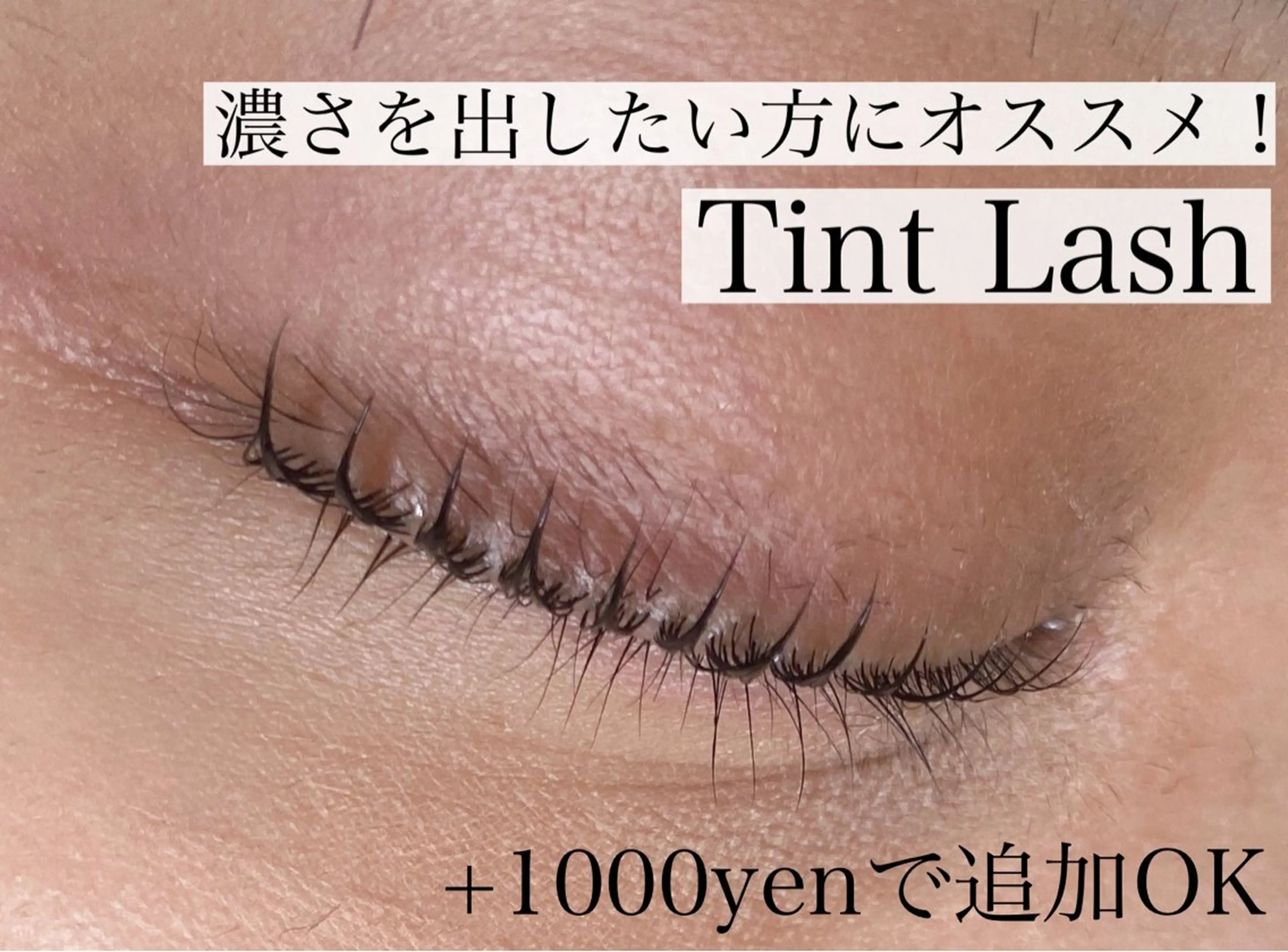 マツエク・マツパ マツパ eyelist Oishiの眉毛・アイブロウイメージ