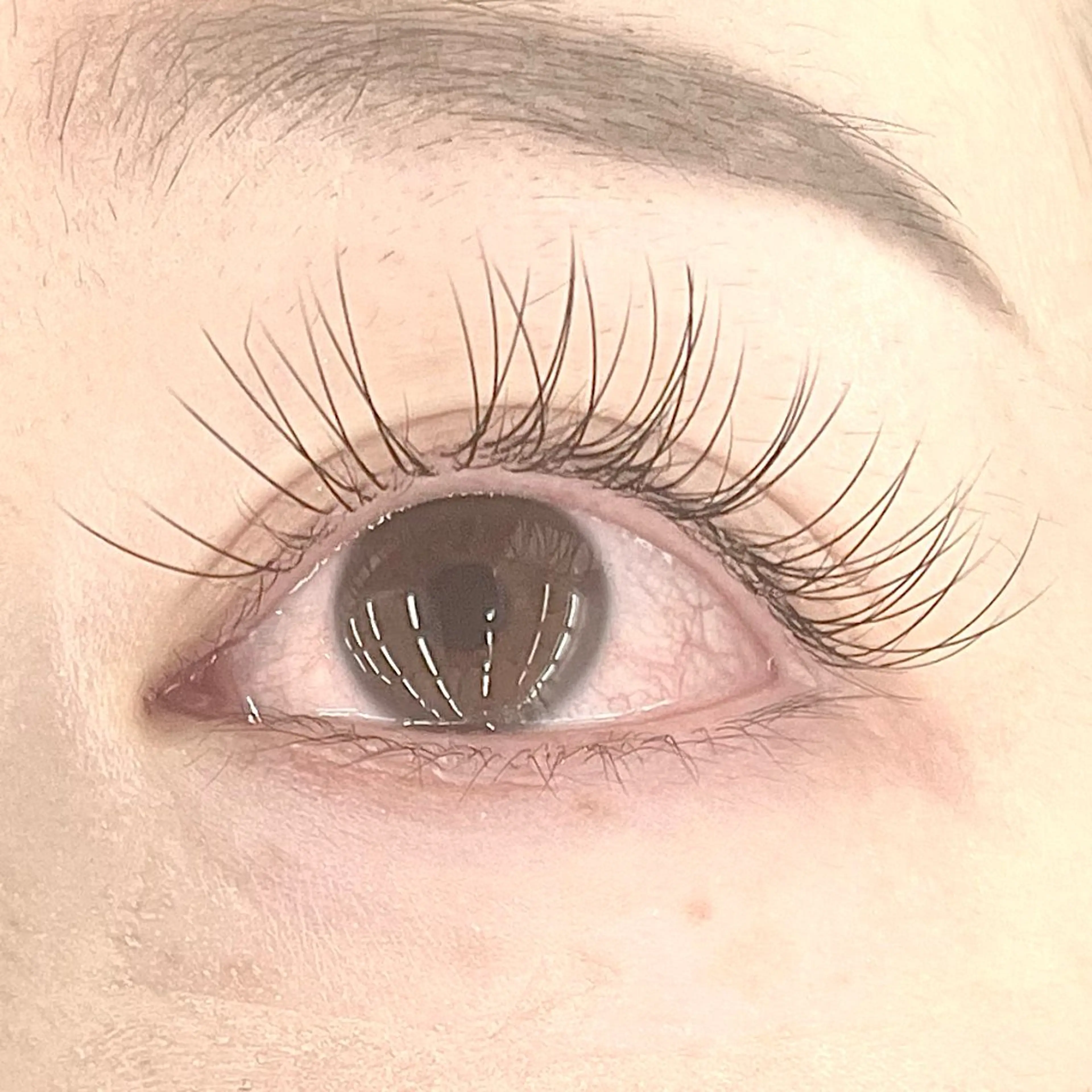 マツエク・マツパ 目尻長め Eyelash 大阪梅田 MAXKELLY【アイラッシュ ウメダ マックスケリー】所属・🦋maxkelly .mizuki🦋のマツエク・マツパデザイン