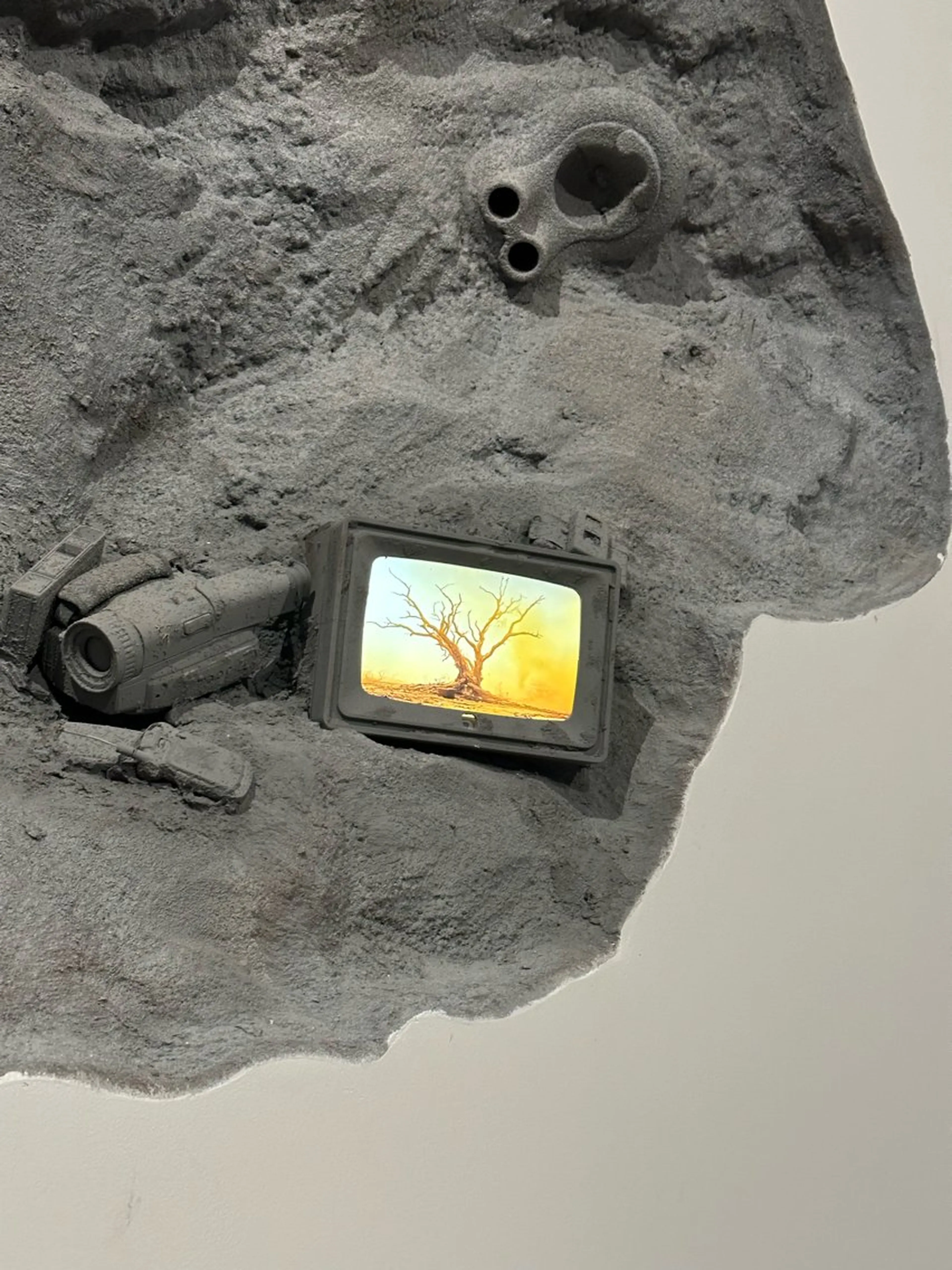 カラー 和田 あおいのヘアスタイル