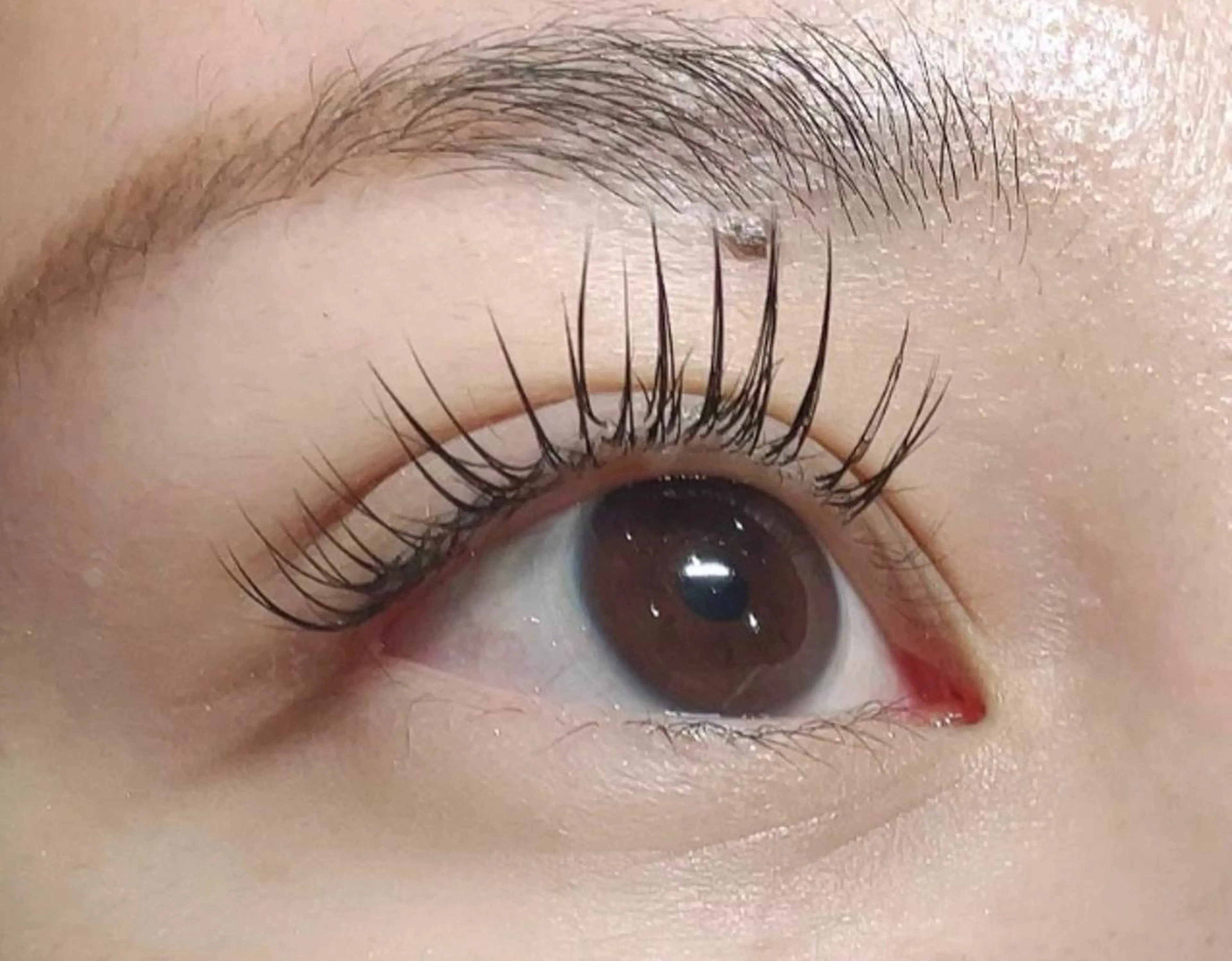 マツエク・マツパ iu.(イユドット)所属・🤍二条城北iu. /IKUHOのマツエク・マツパデザイン