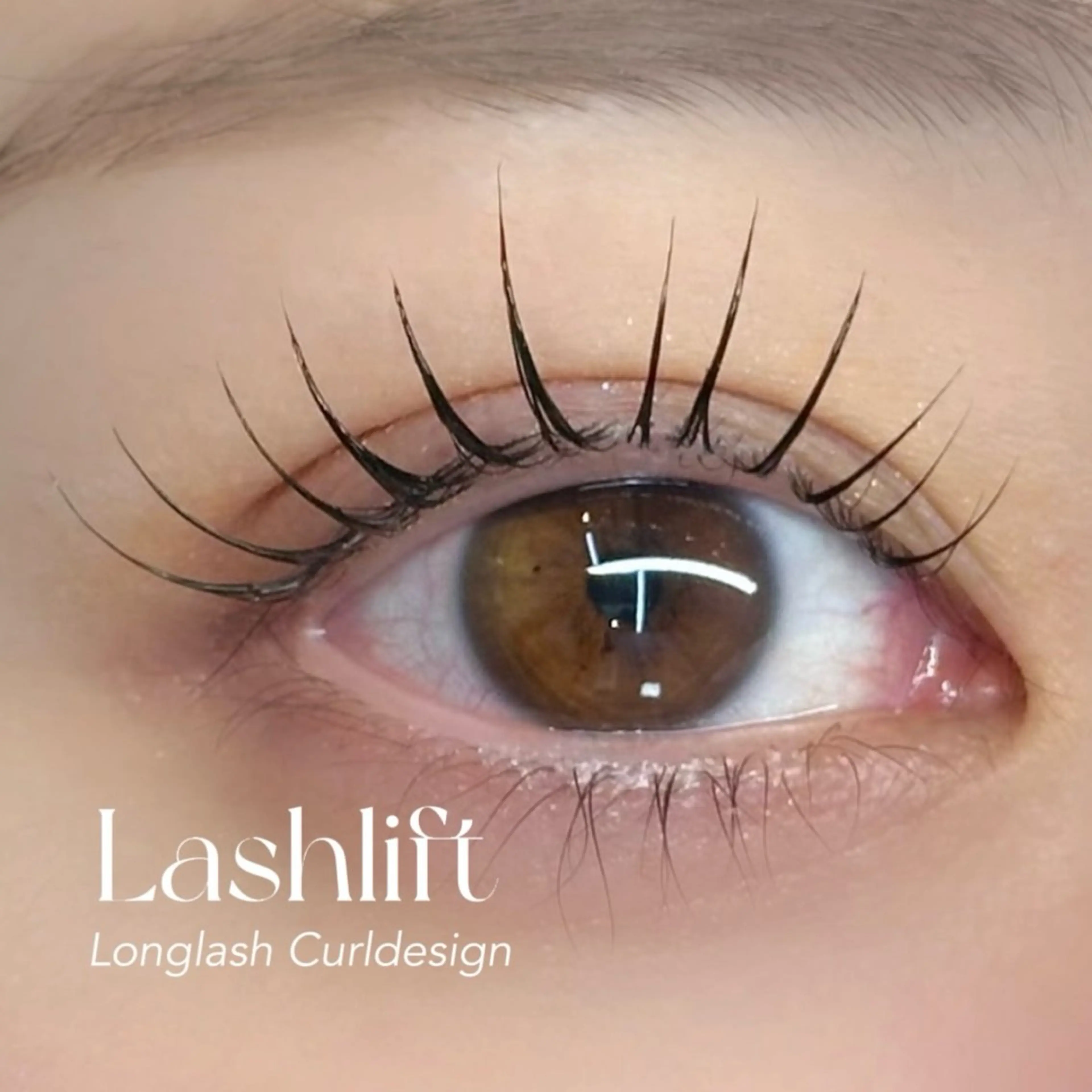 マツエク・マツパ O'L所属・Eyelash & Eyebrowのマツエク・マツパデザイン