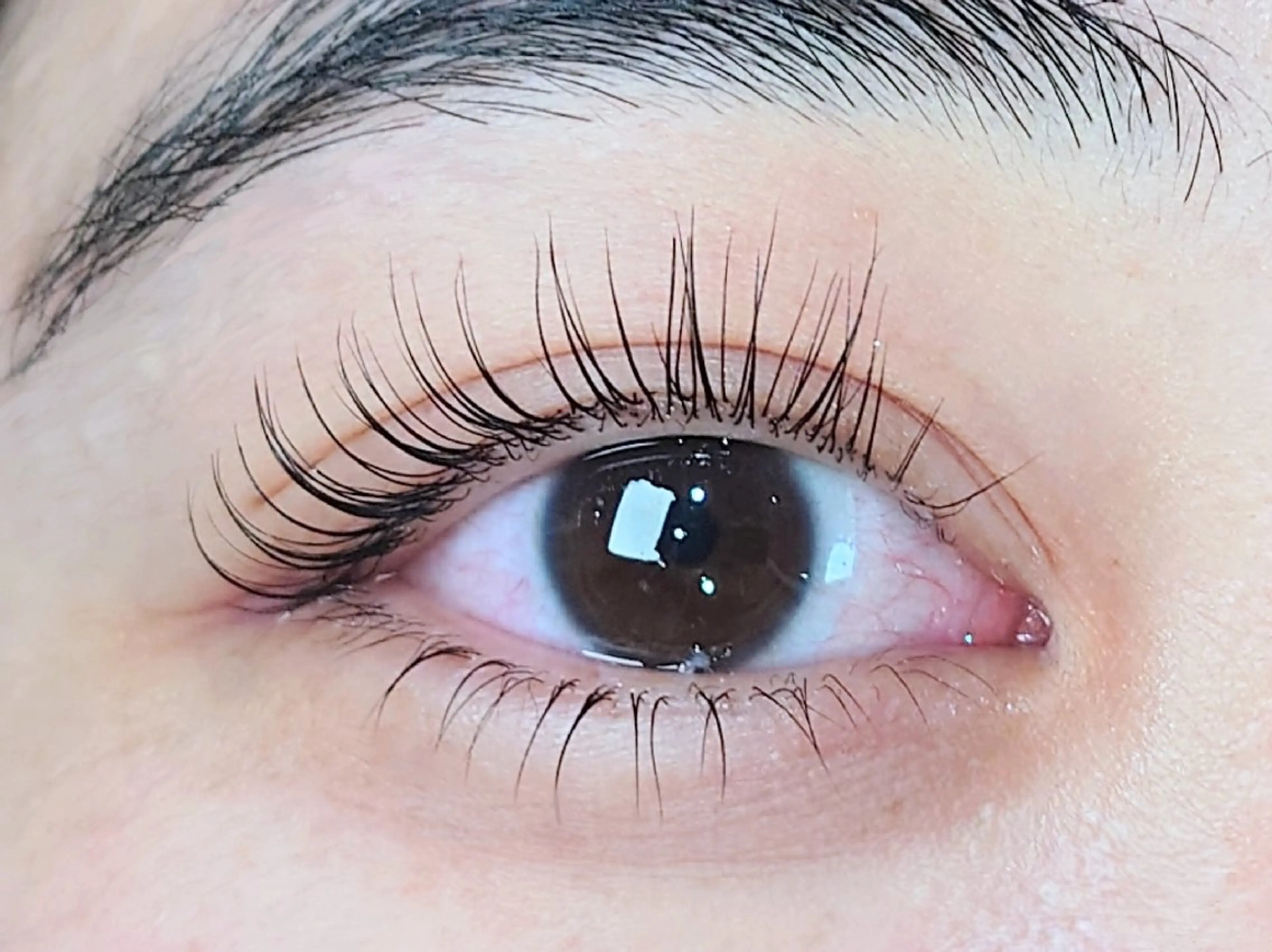 ♥リピーター様♥【ブラックティント　マスカラパーマ】の写真