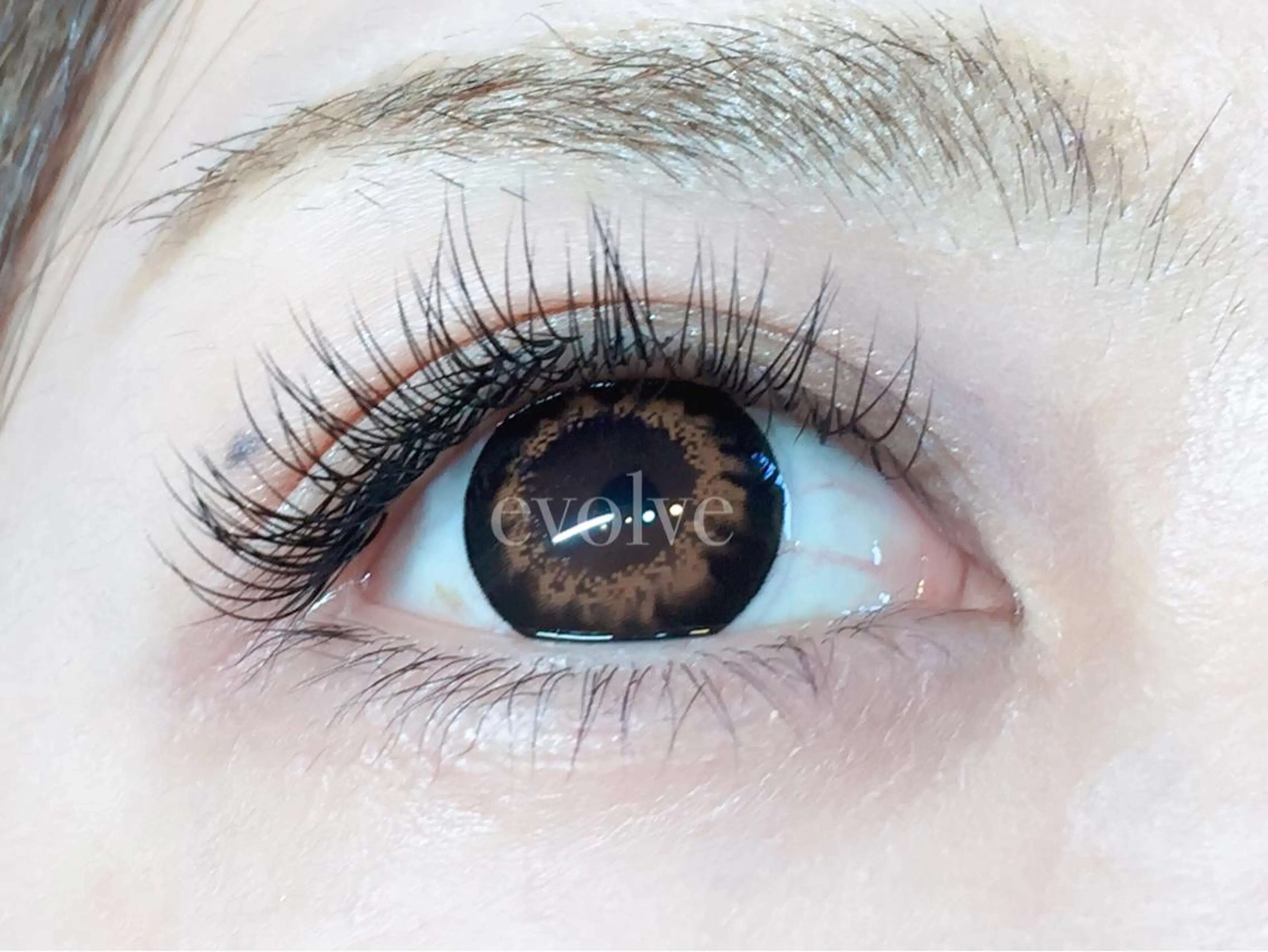 マツエク・マツパ Cカール 目尻長め evolve by TypeAB所属・evolve  by TypeABのマツエク・マツパデザイン