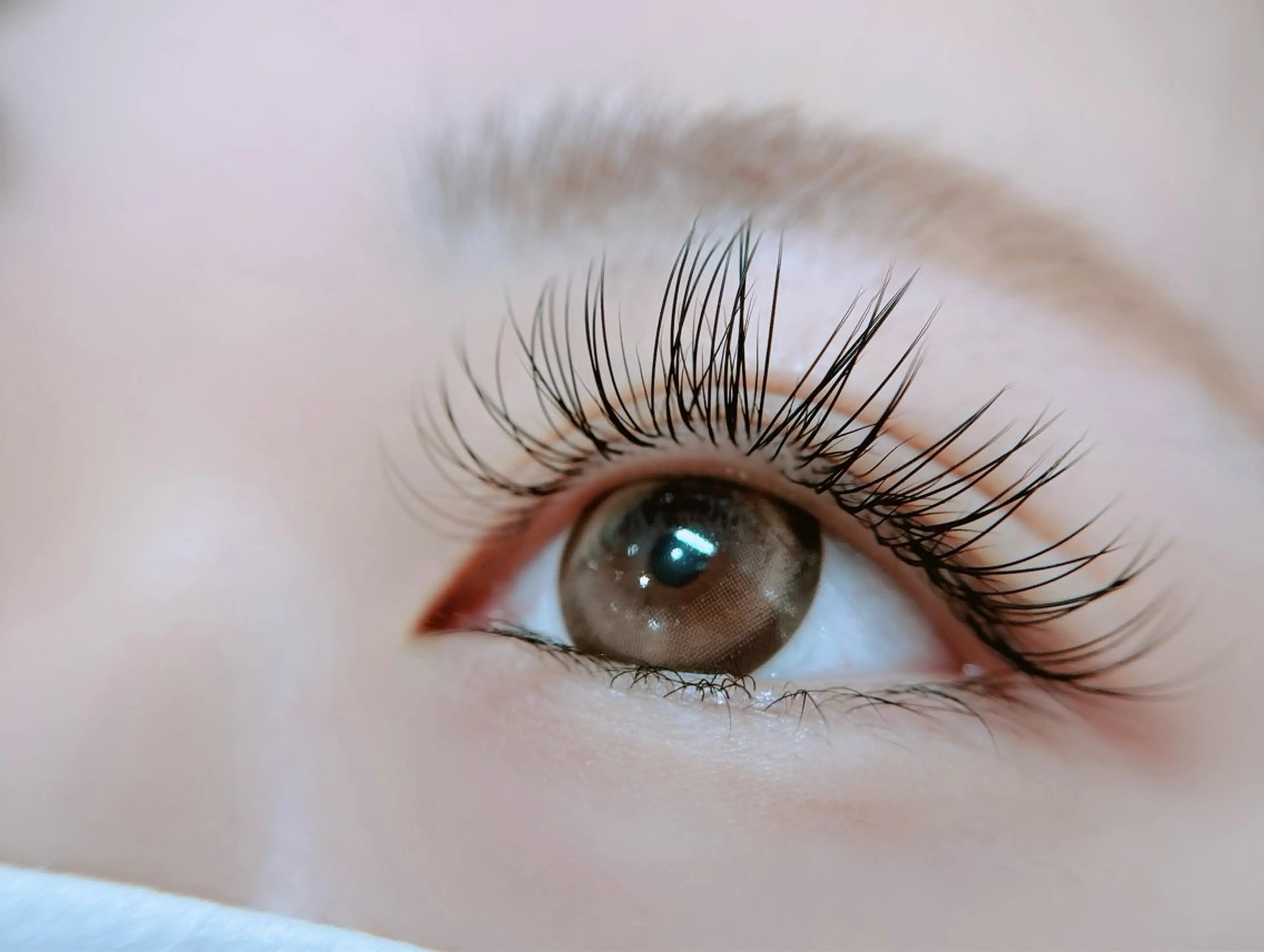 マツエク・マツパ Cカール フラットラッシュ REMIA上大岡~eyelash&nail~所属・REMIA上大岡 ♡NOMURAのマツエク・マツパデザイン