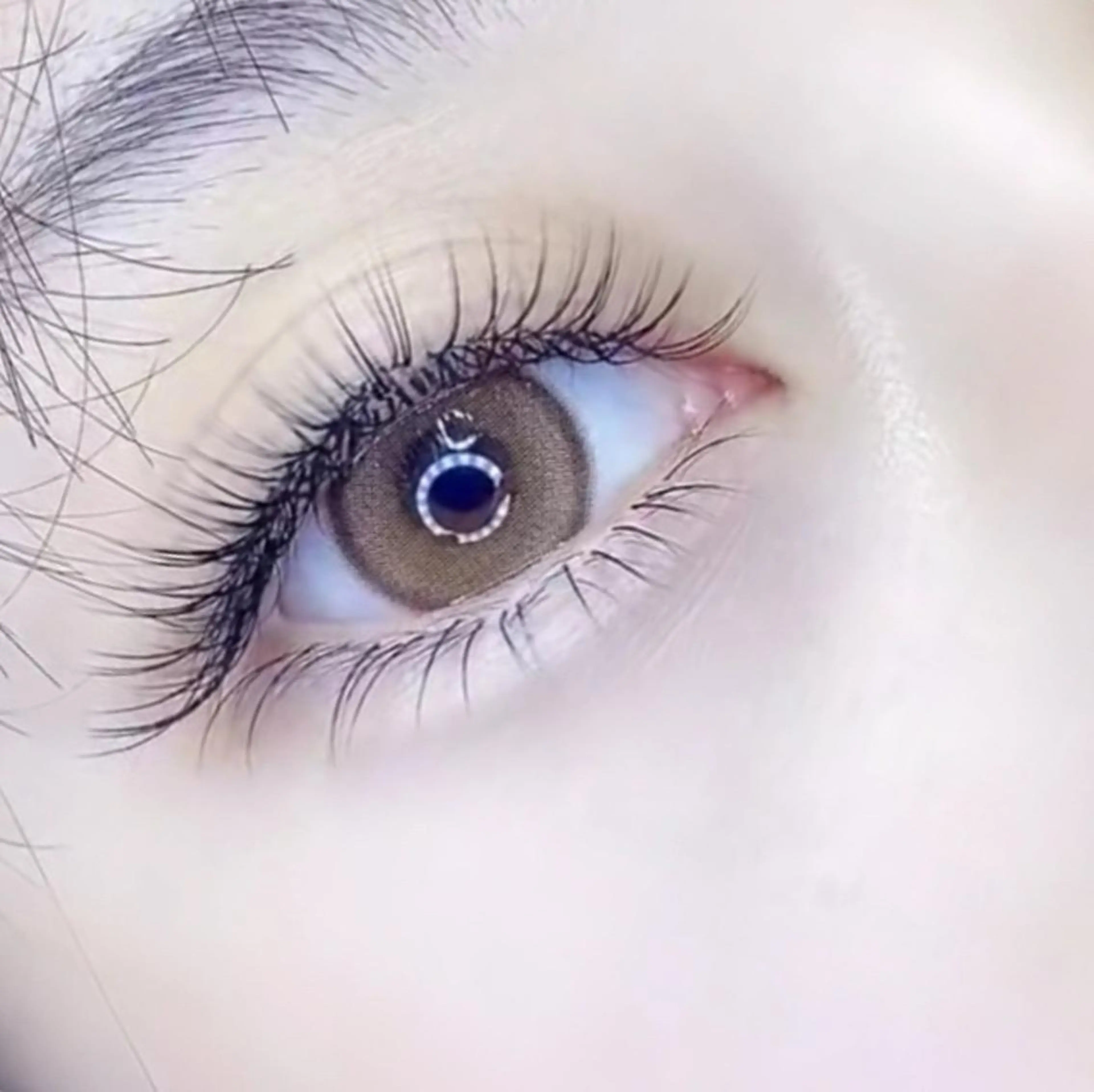 マツエク・マツパ マツエク ALITA 池袋店✨のマツエク・マツパデザイン