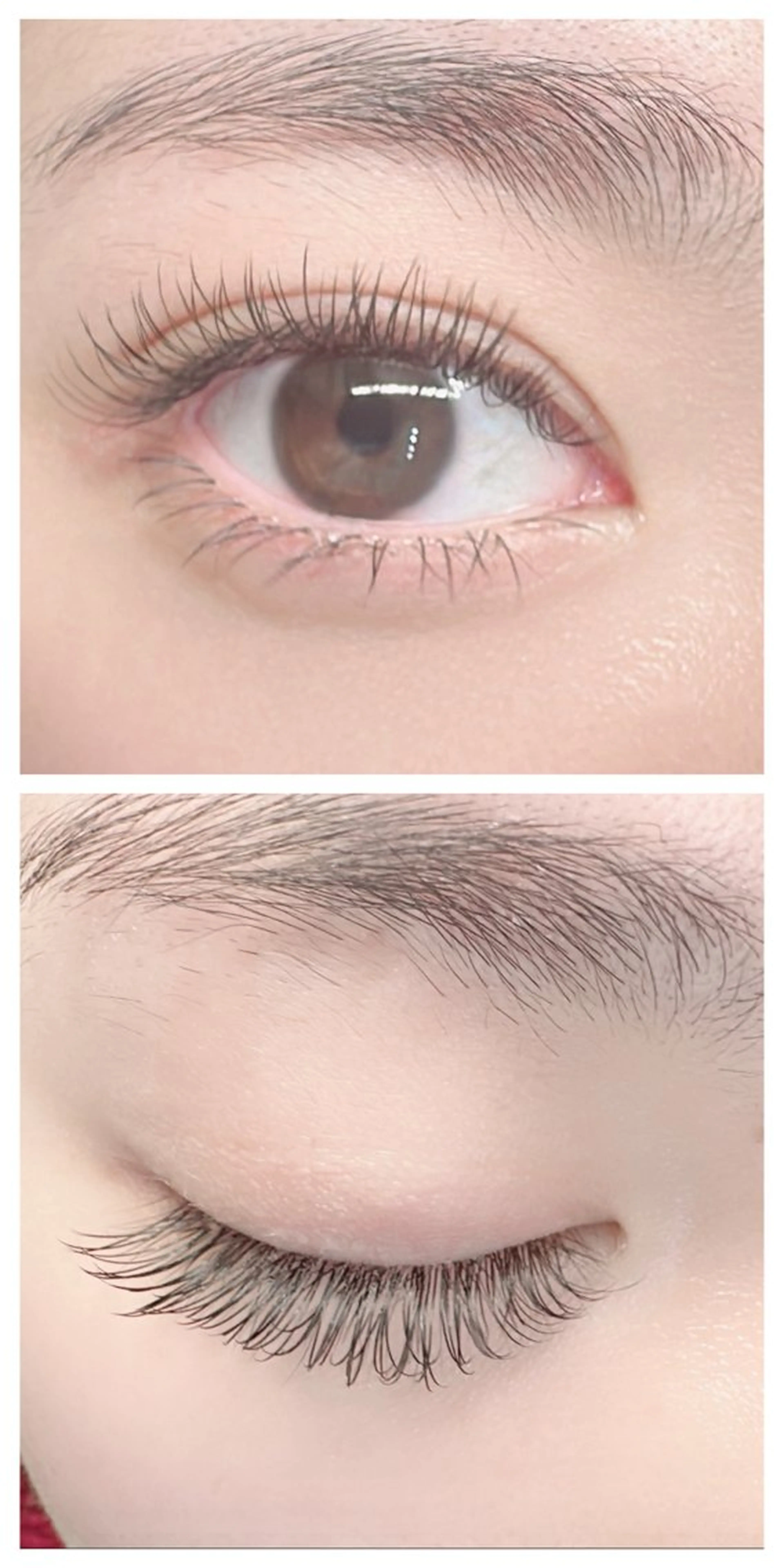 マツエク・マツパ Max salon Eyelashのマツエク・マツパデザイン