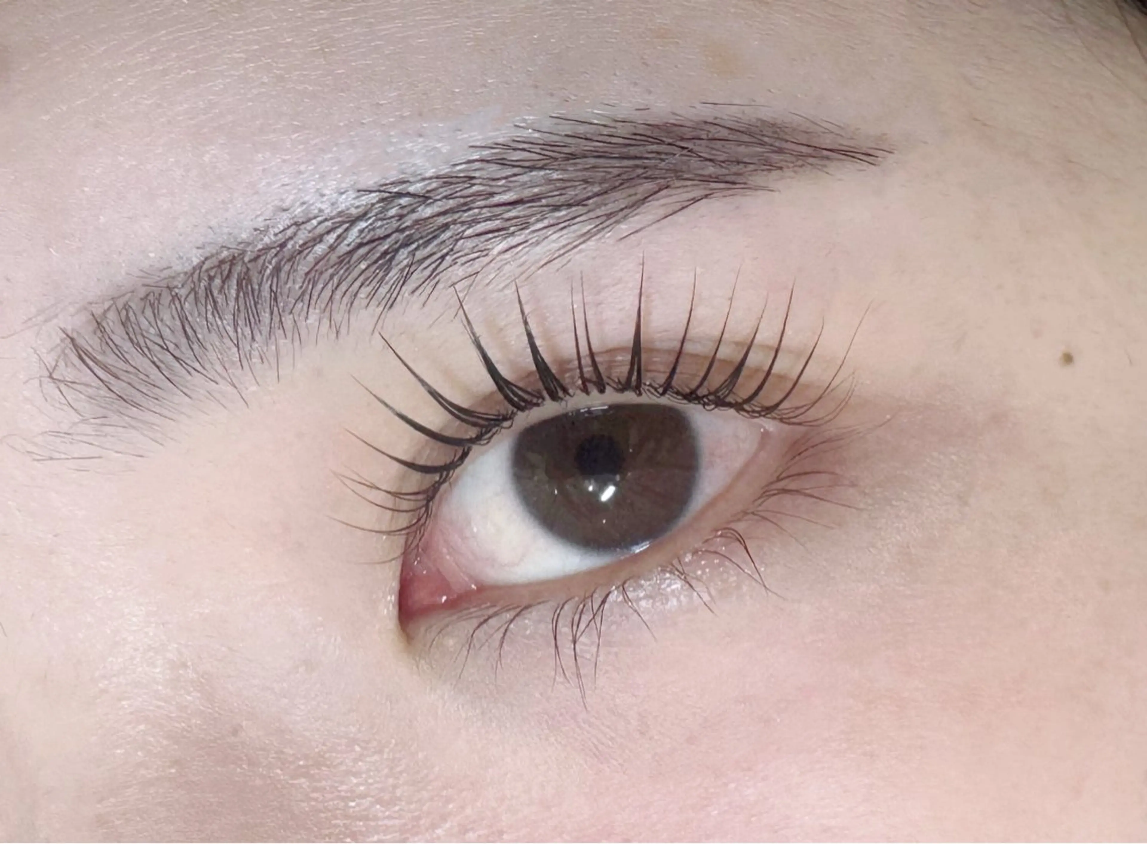 マツエク・マツパ マツパ 坂本 亜美のマツエク・マツパデザイン