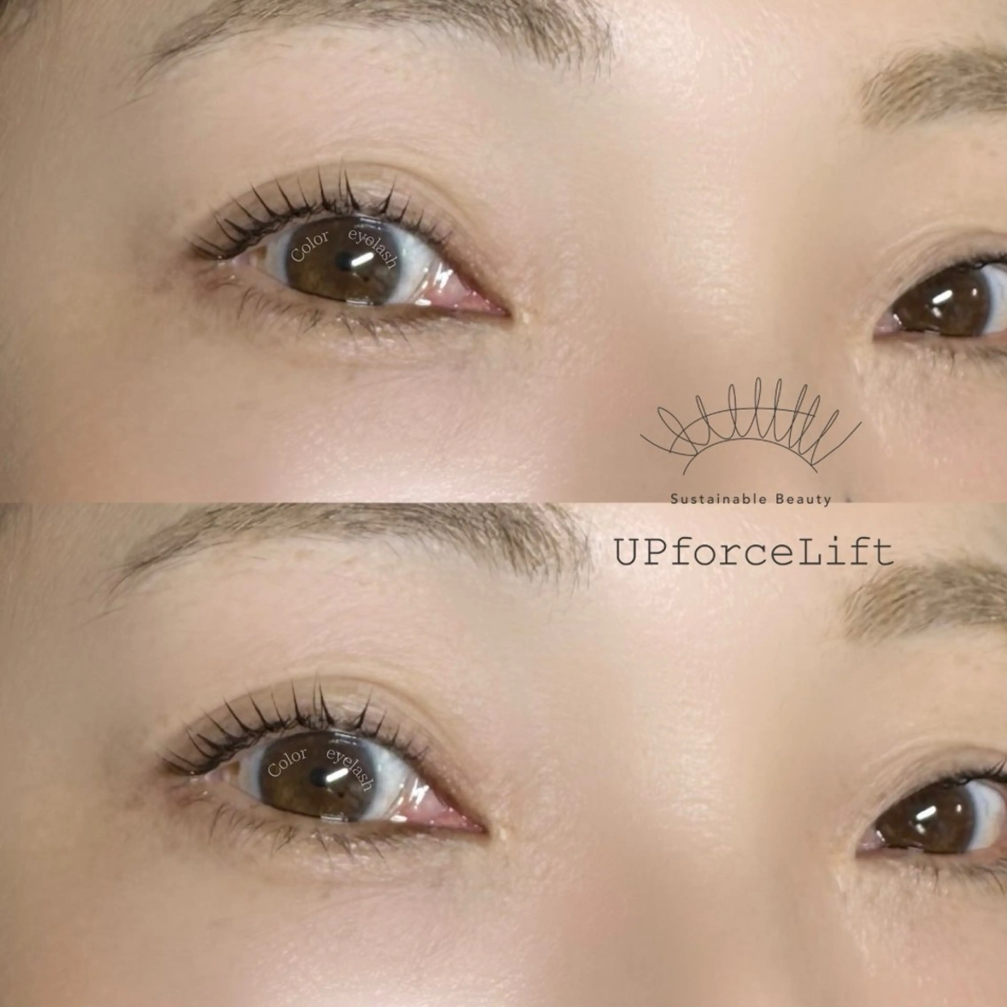 マツエク・マツパ Private Salon Color eyelash所属・Color eyelashのマツエク・マツパデザイン