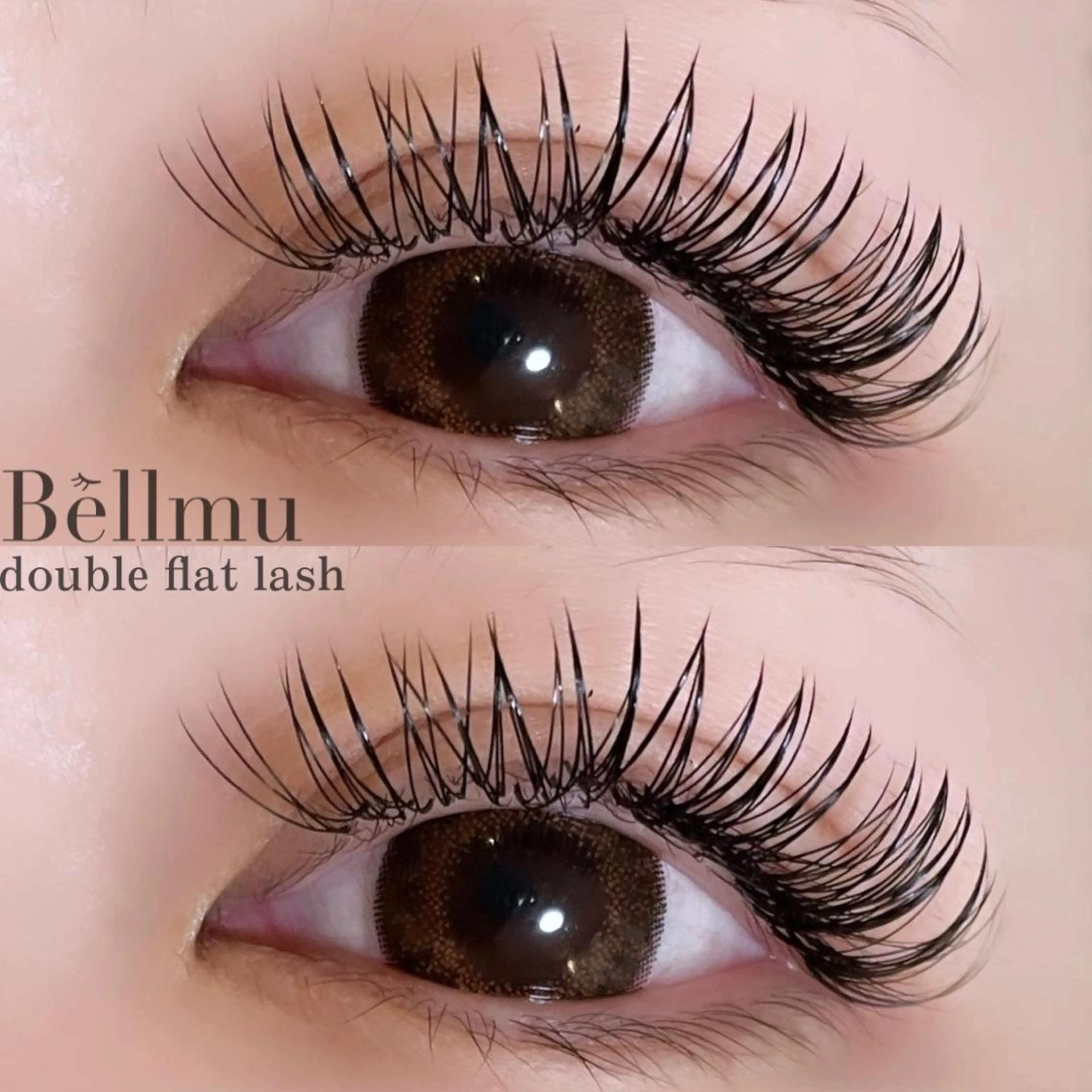 マツエク・マツパ フラットラッシュ 💈Bèllmu/ なんば/心斎橋❣️のマツエク・マツパデザイン