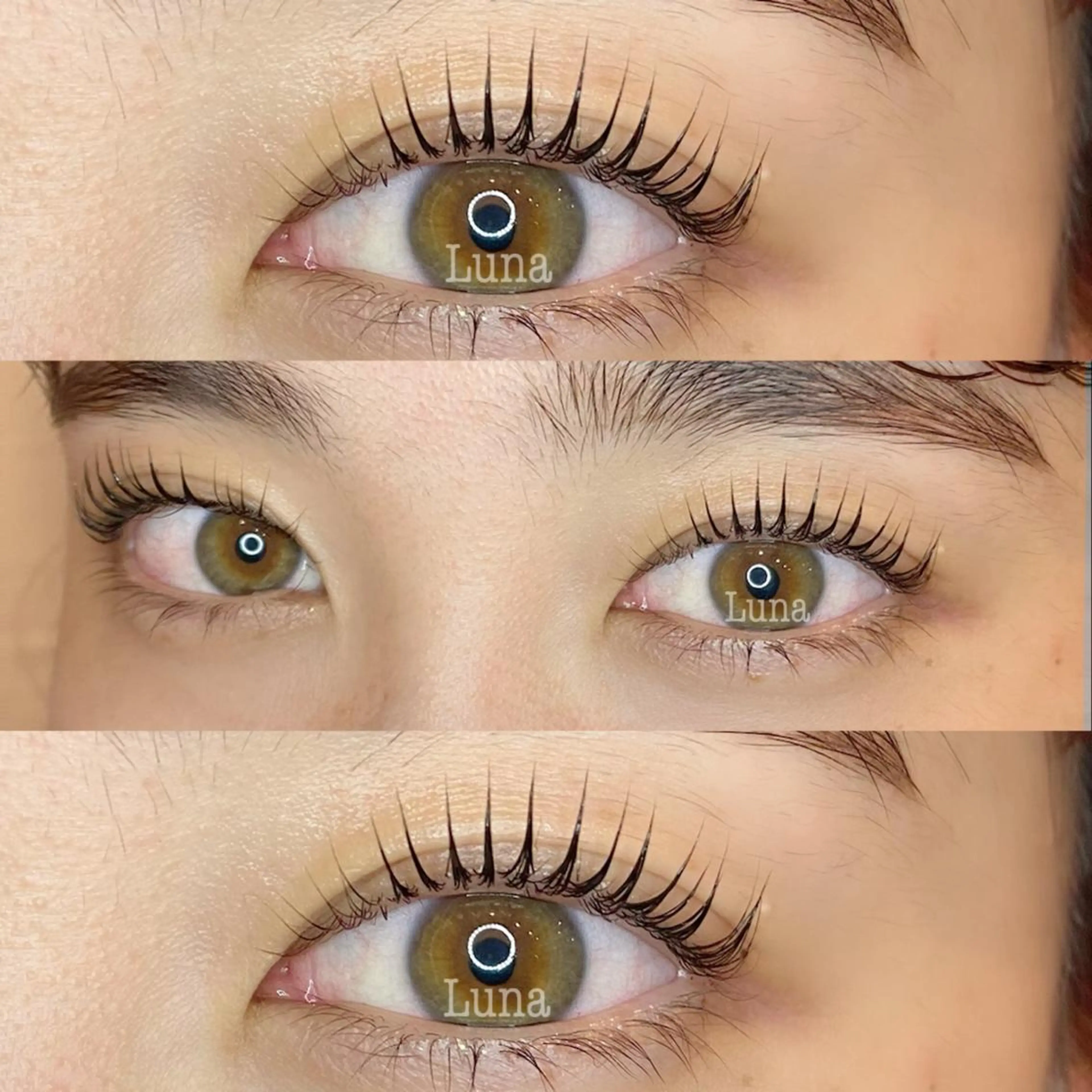 パリジェンヌラッシュリフト（ご新規様）の写真