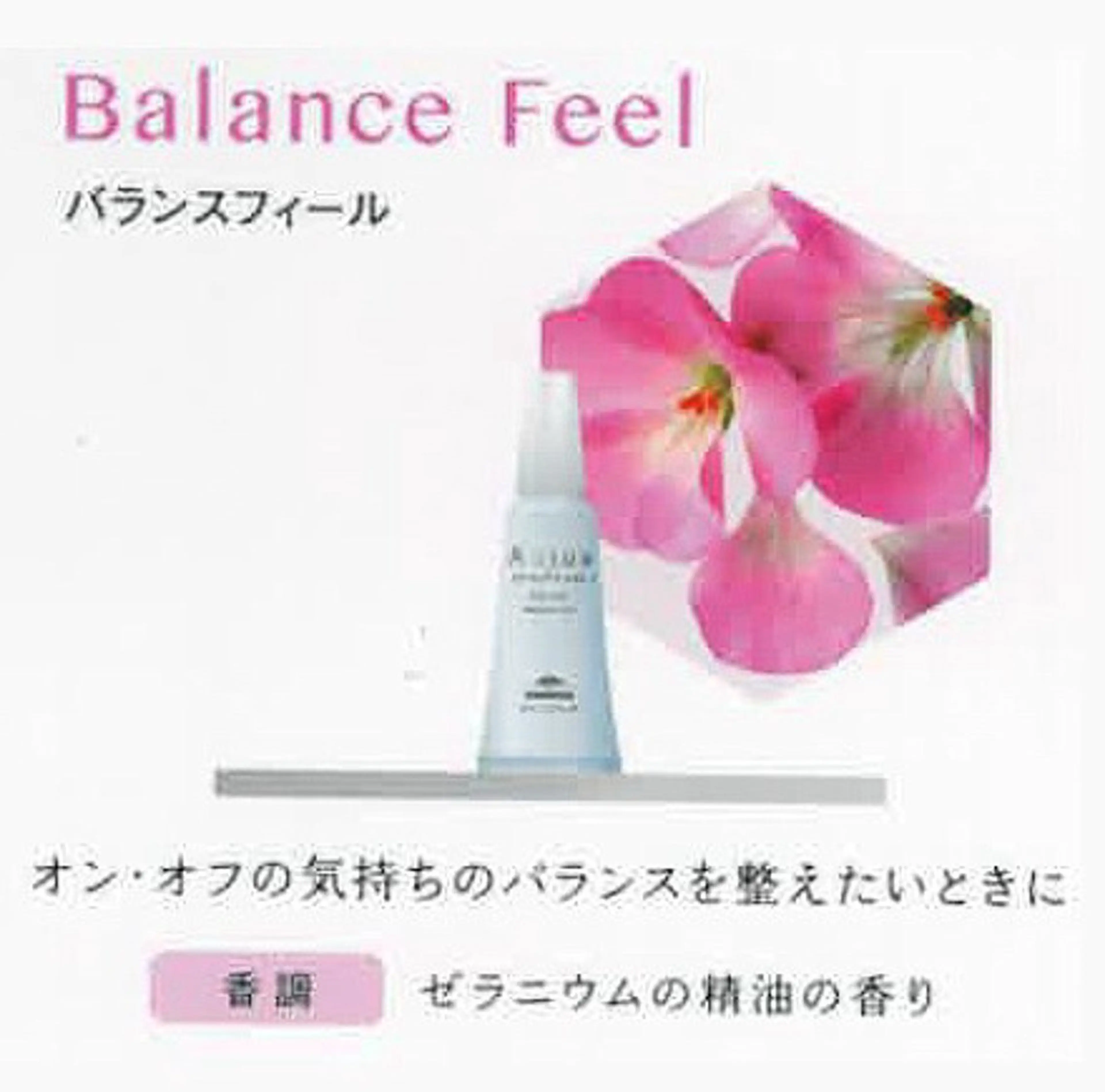 刈り上げカットモデル 👗SHIZUKAのヘアスタイル