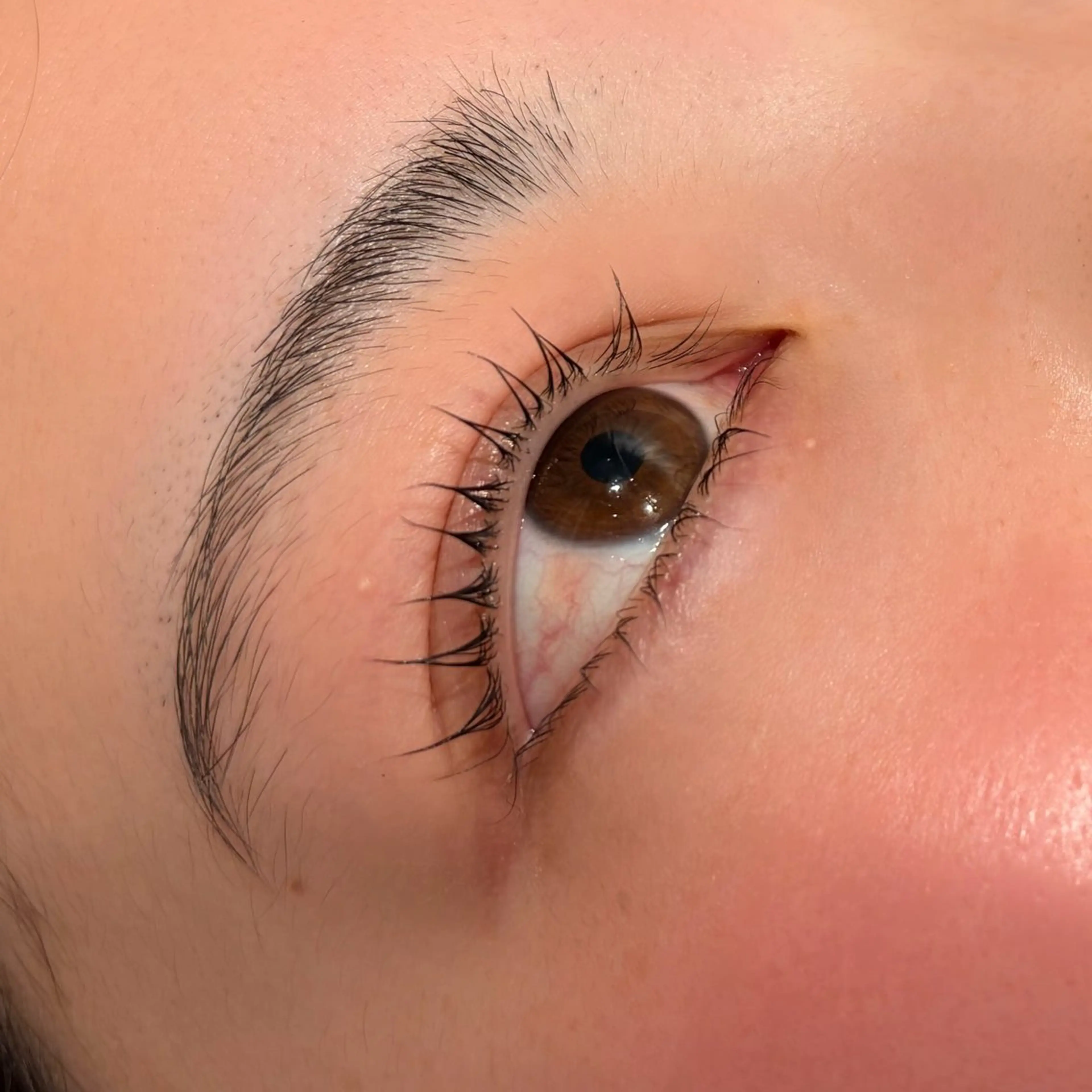 マツエク・マツパ 下まつげエクステ 一重×まつ毛パーマ マツパ Yamada Ami🪐のヘアスタイル