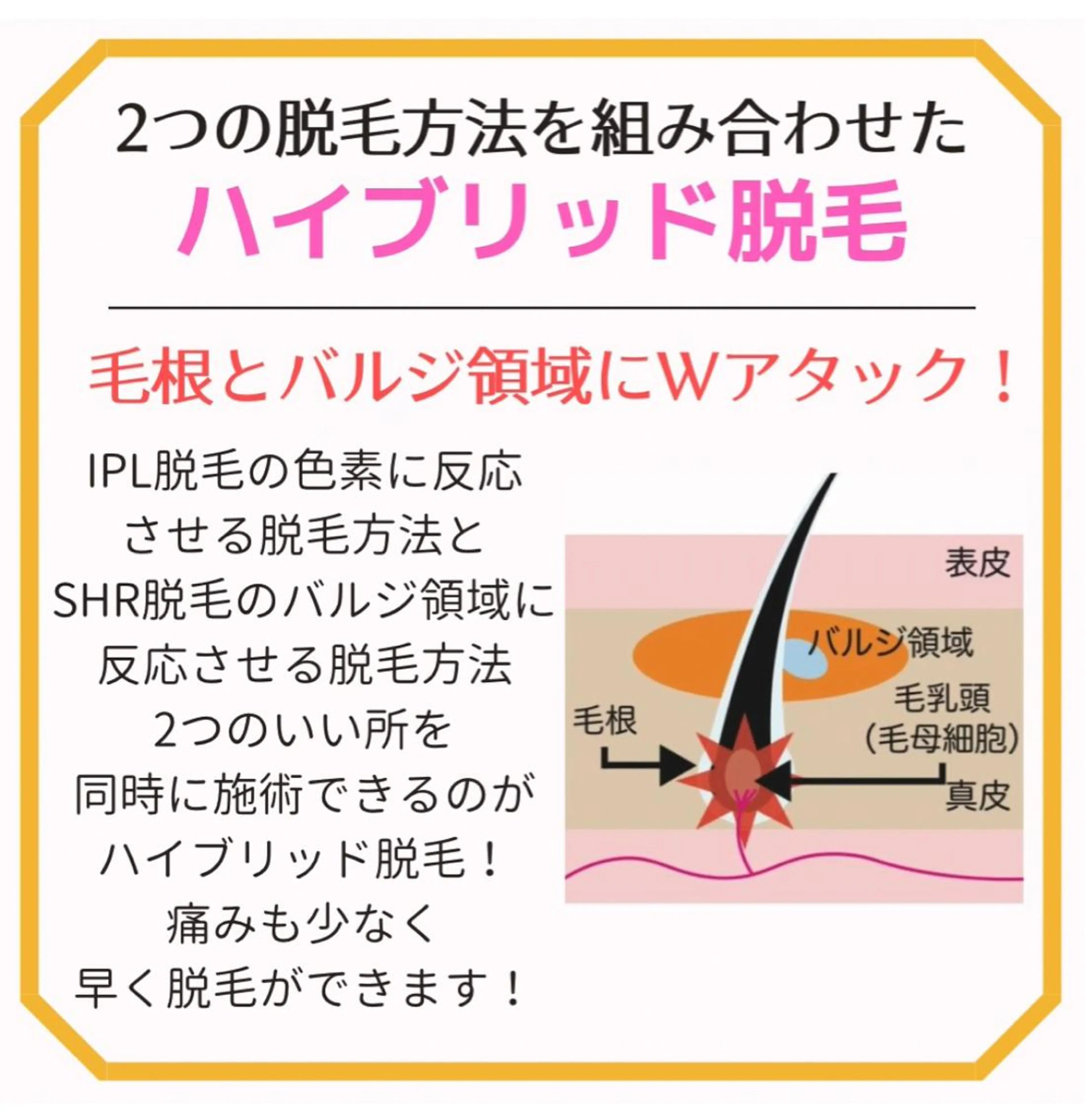 メンズ キッズ STELLAR. 谷岡恵里香のエステ・リラクイメージ