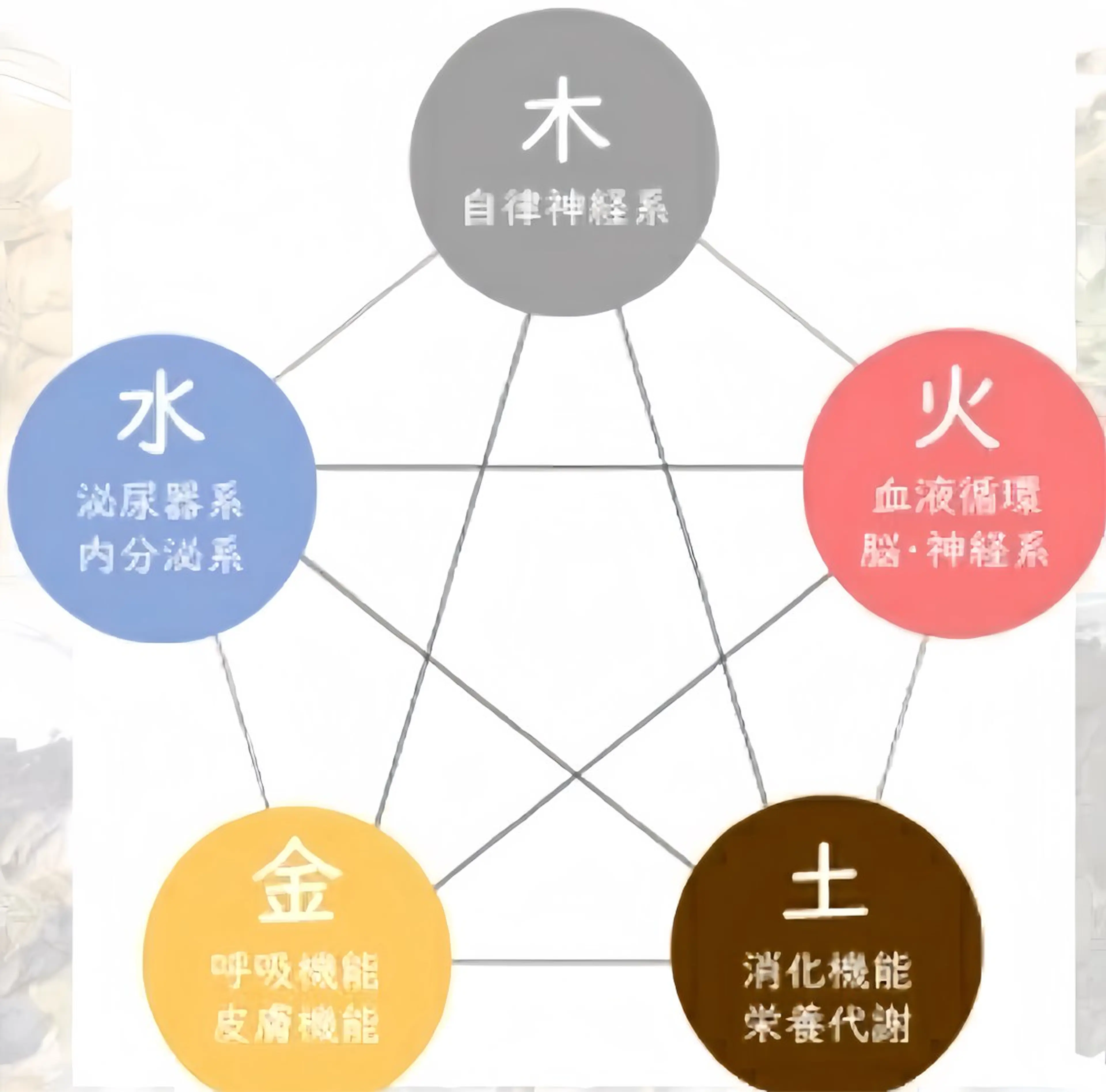 【人気NO1】漢方アロマリンパマッサージ×岩盤浴×ヘッドカッサ60分の写真