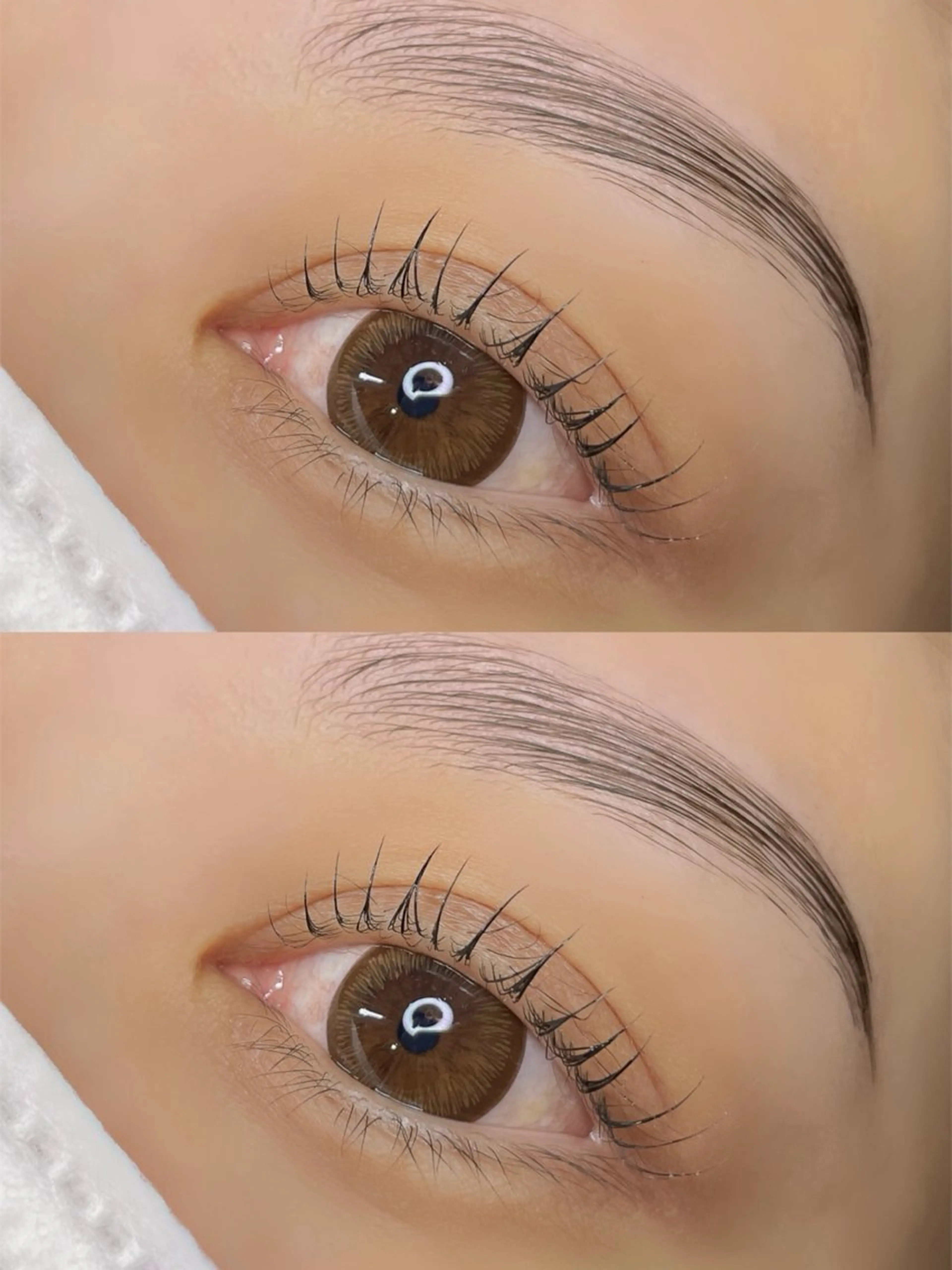 マツエク・マツパ マツパ ダリアビューティー所属・LEDエクステ🫧 ダリアビューティーの眉毛・アイブロウイメージ