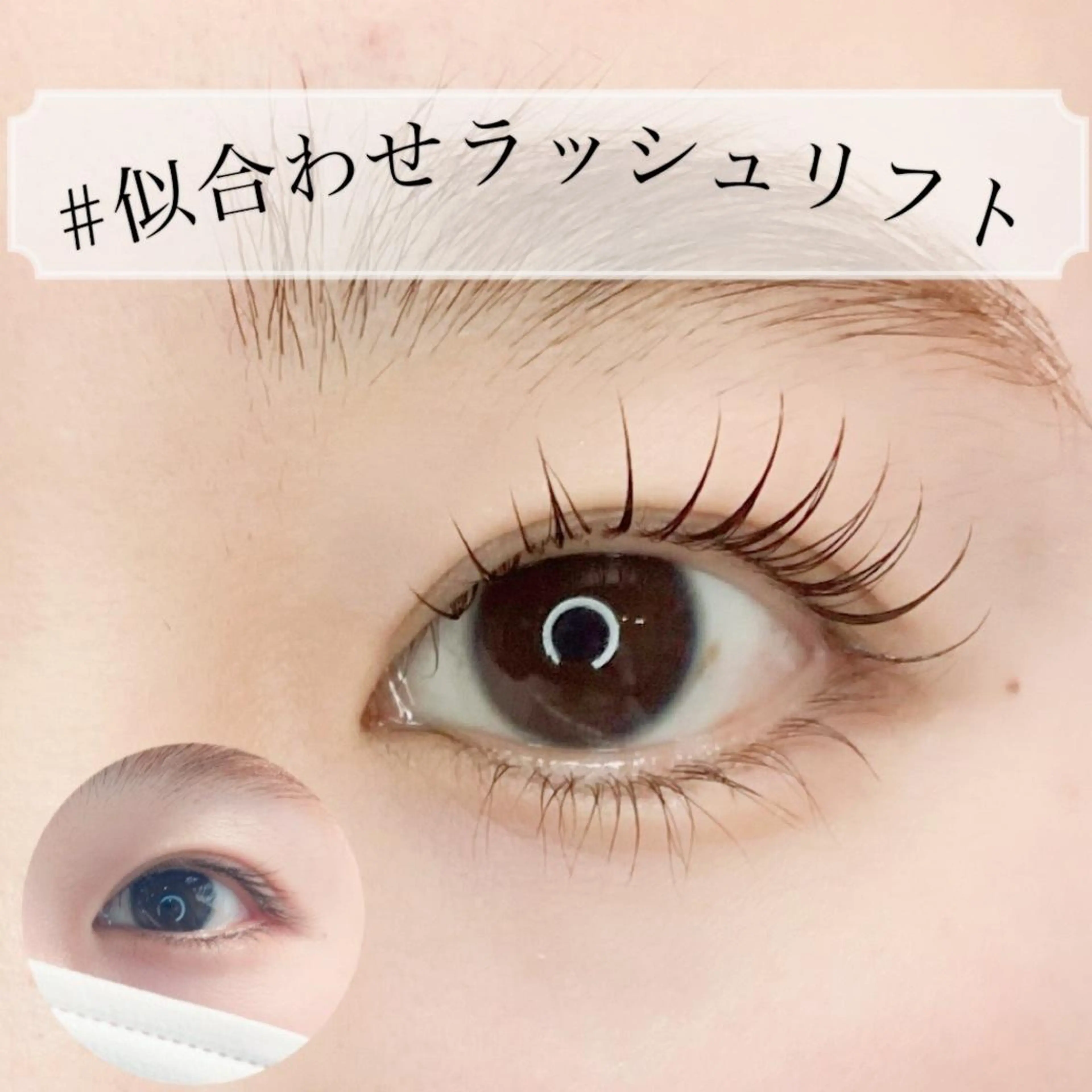 🌷【単品メニュー人気No. 1】ラッシュリフト/パリジェンヌの写真