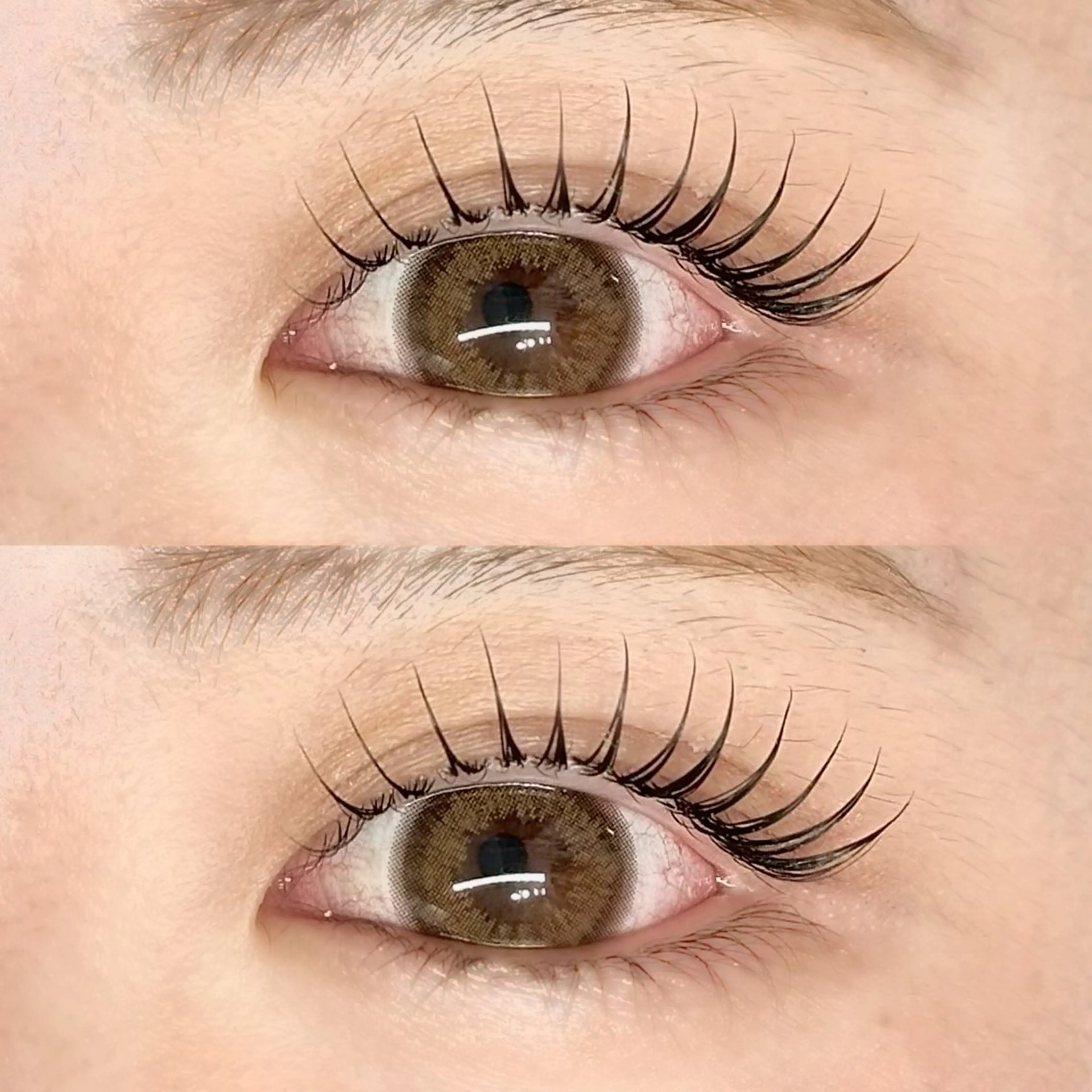 〔 新規限定! 〕まつ毛パーマ  ¥3,630の写真