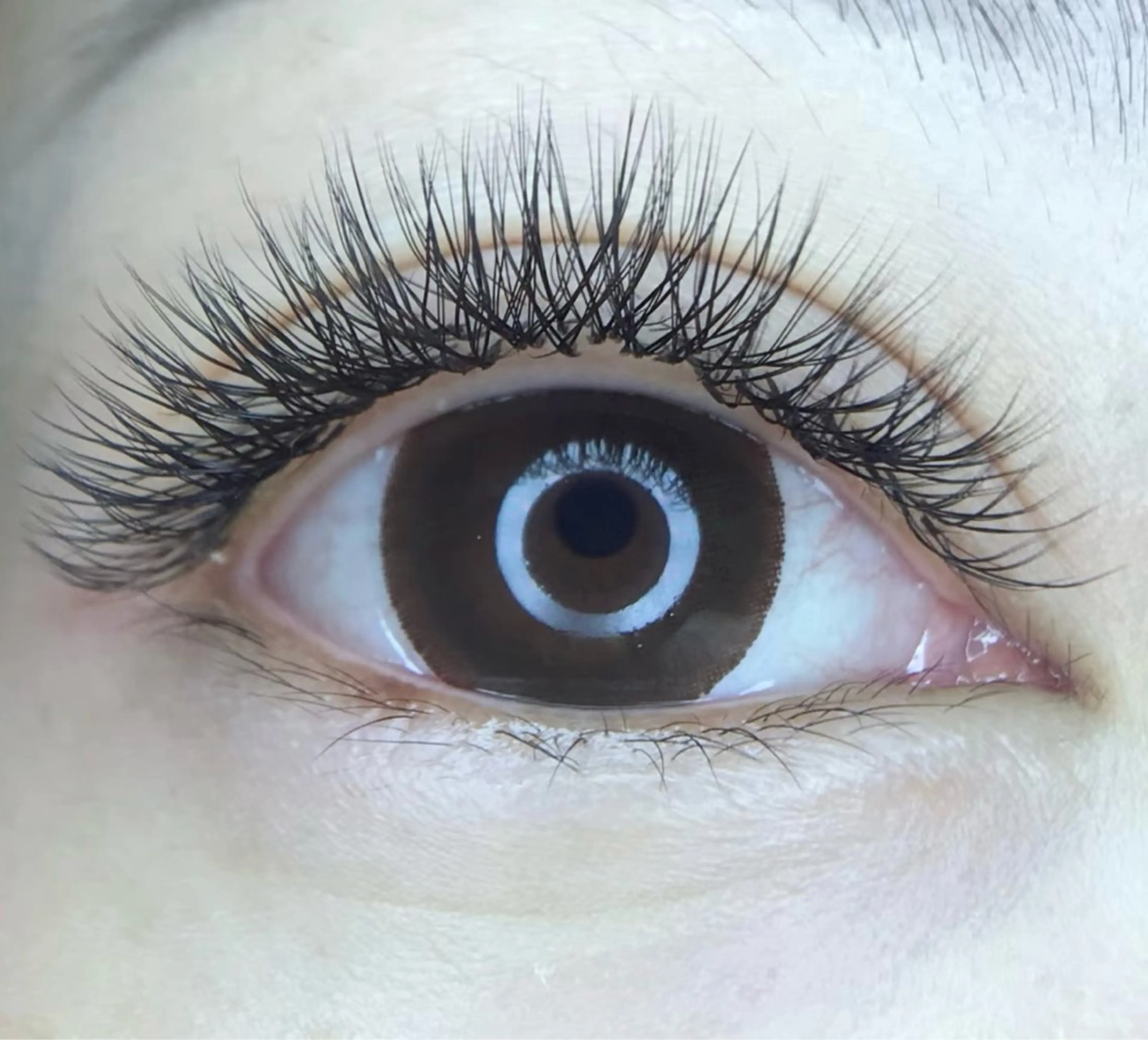 マツエク・マツパ kico.coサロン モニカのマツエク・マツパデザイン