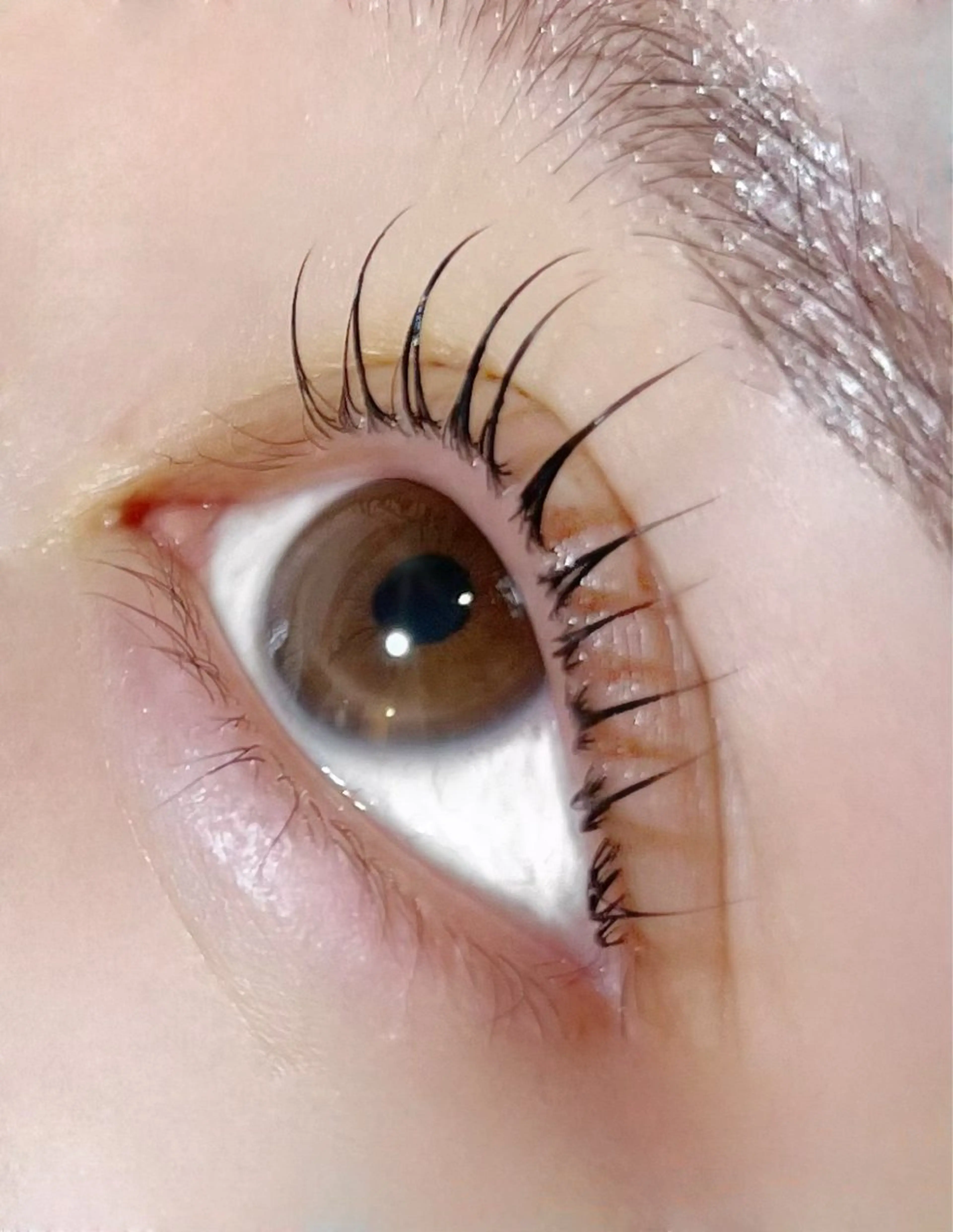 マツエク・マツパ マリーテレジア SHIMIZU.yのマツエク・マツパデザイン