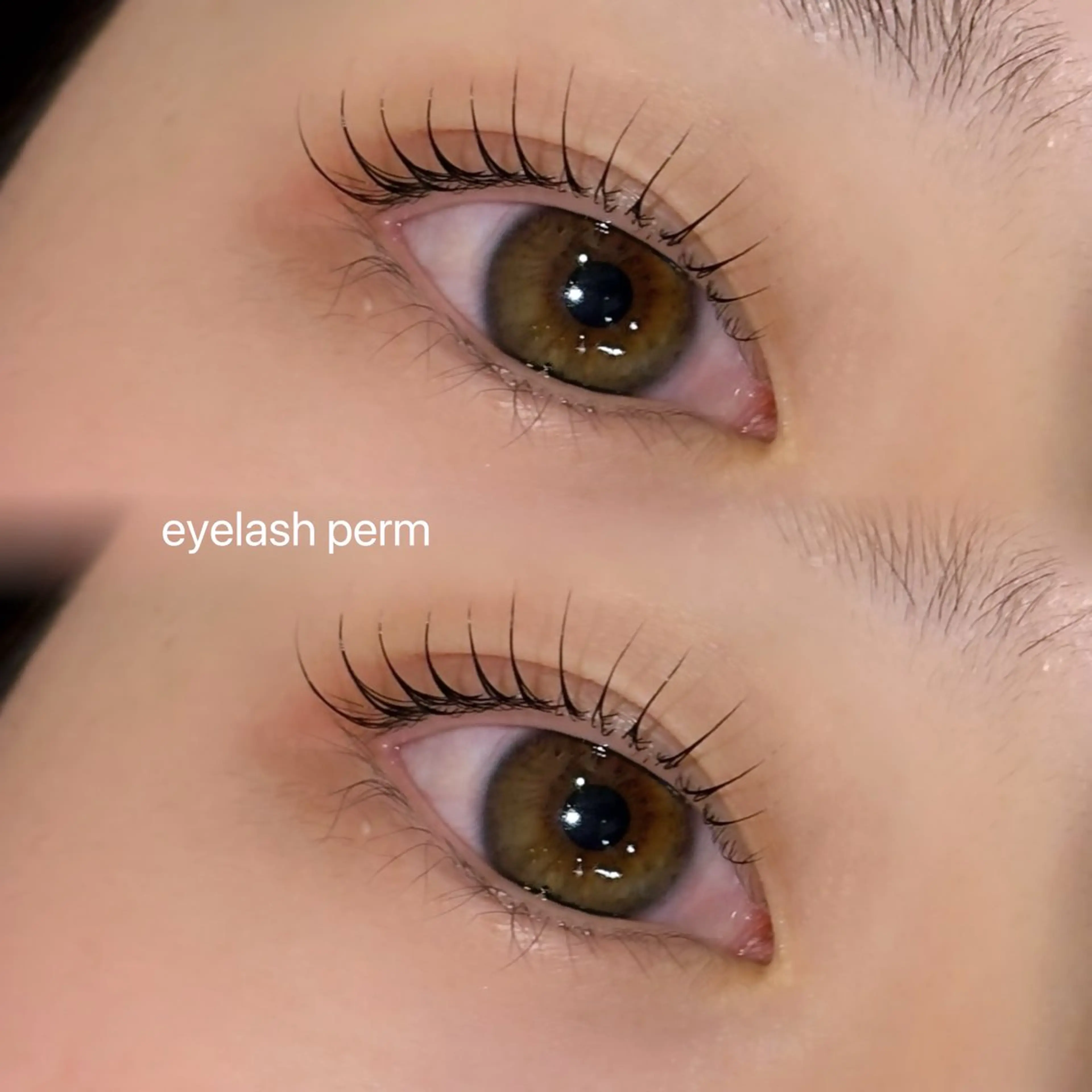 次世代まつ毛パーマの写真