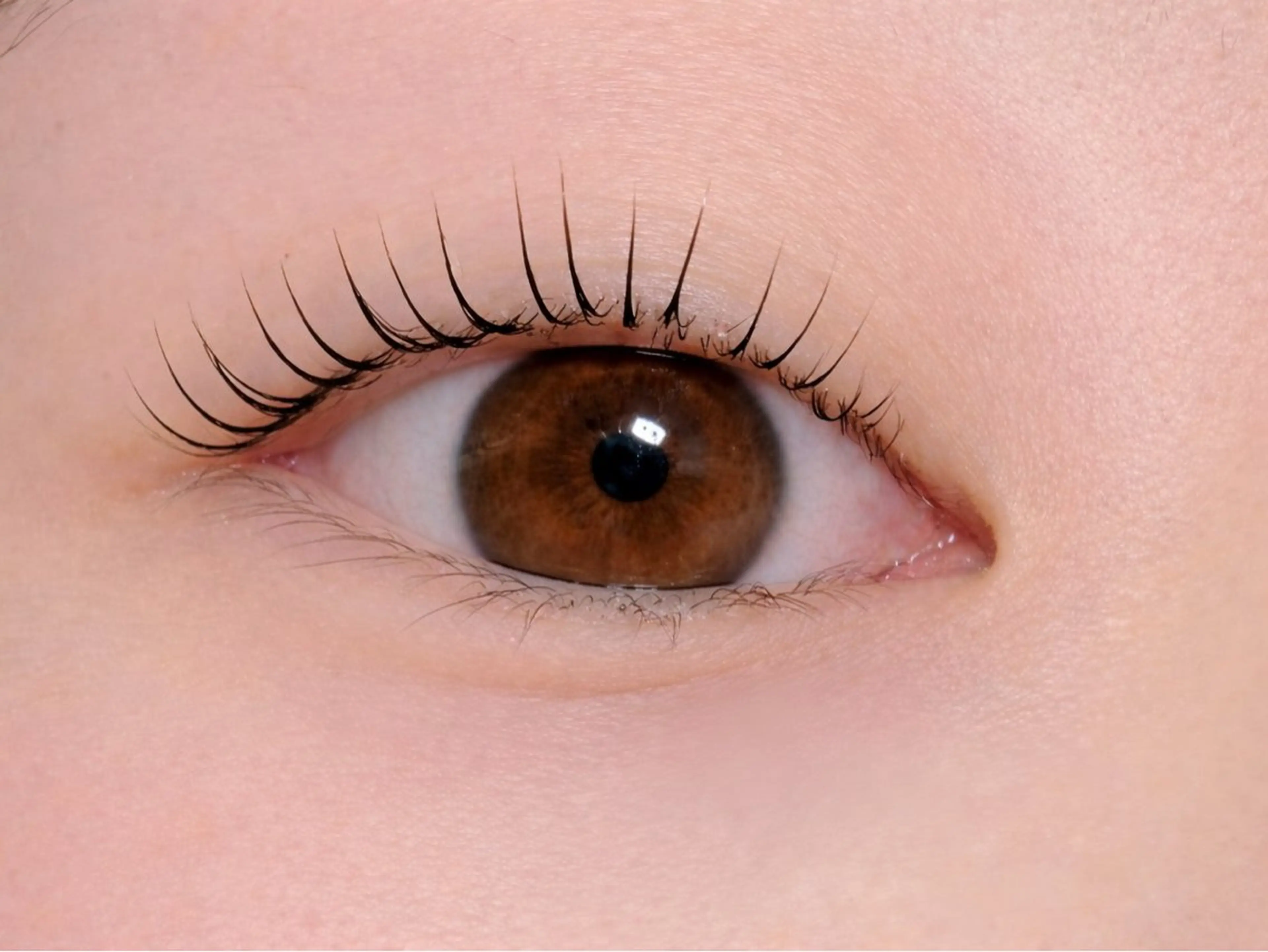 マツエク・マツパ Melia Chieのマツエク・マツパデザイン