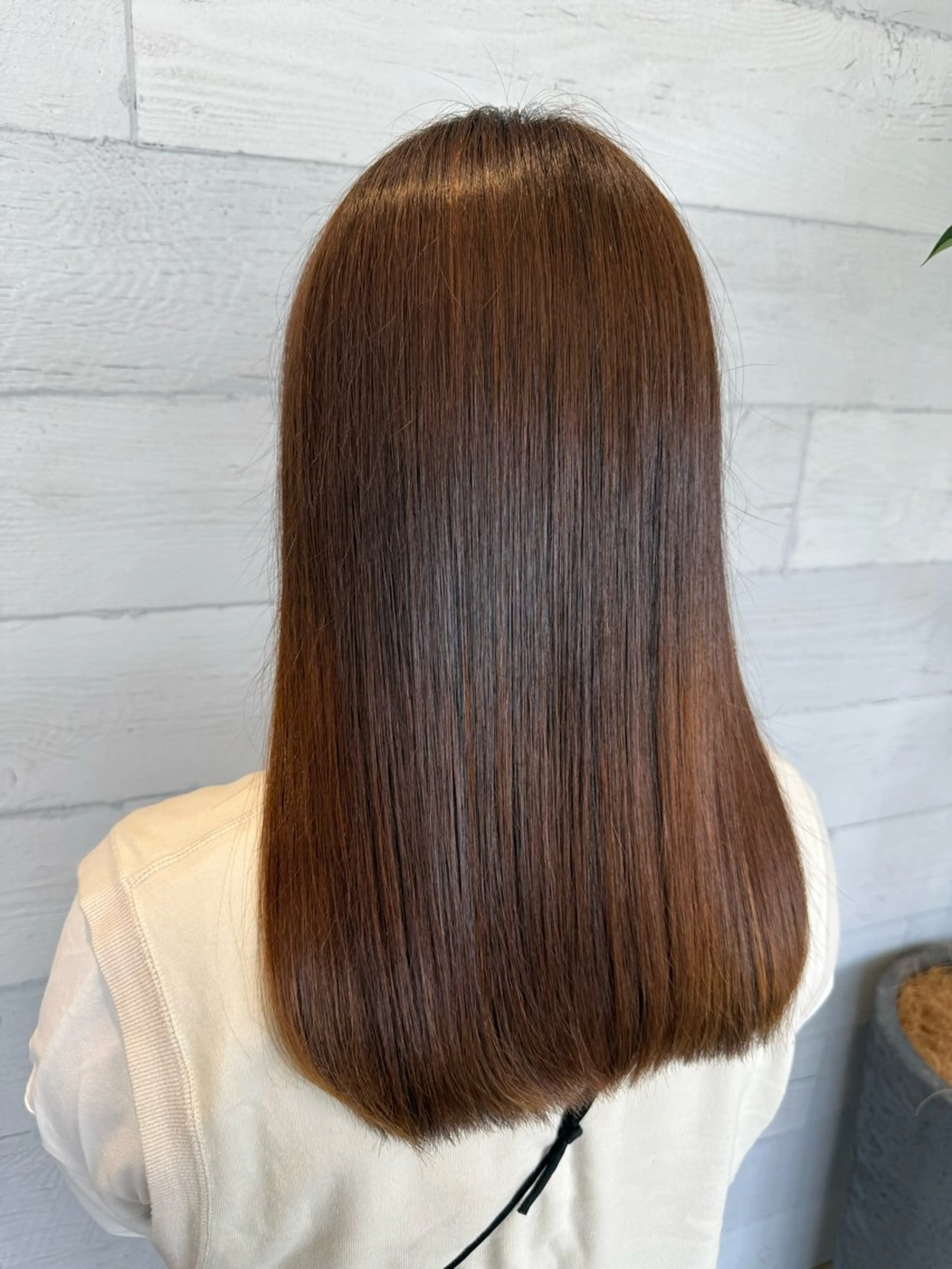 ワンカラー❕の写真