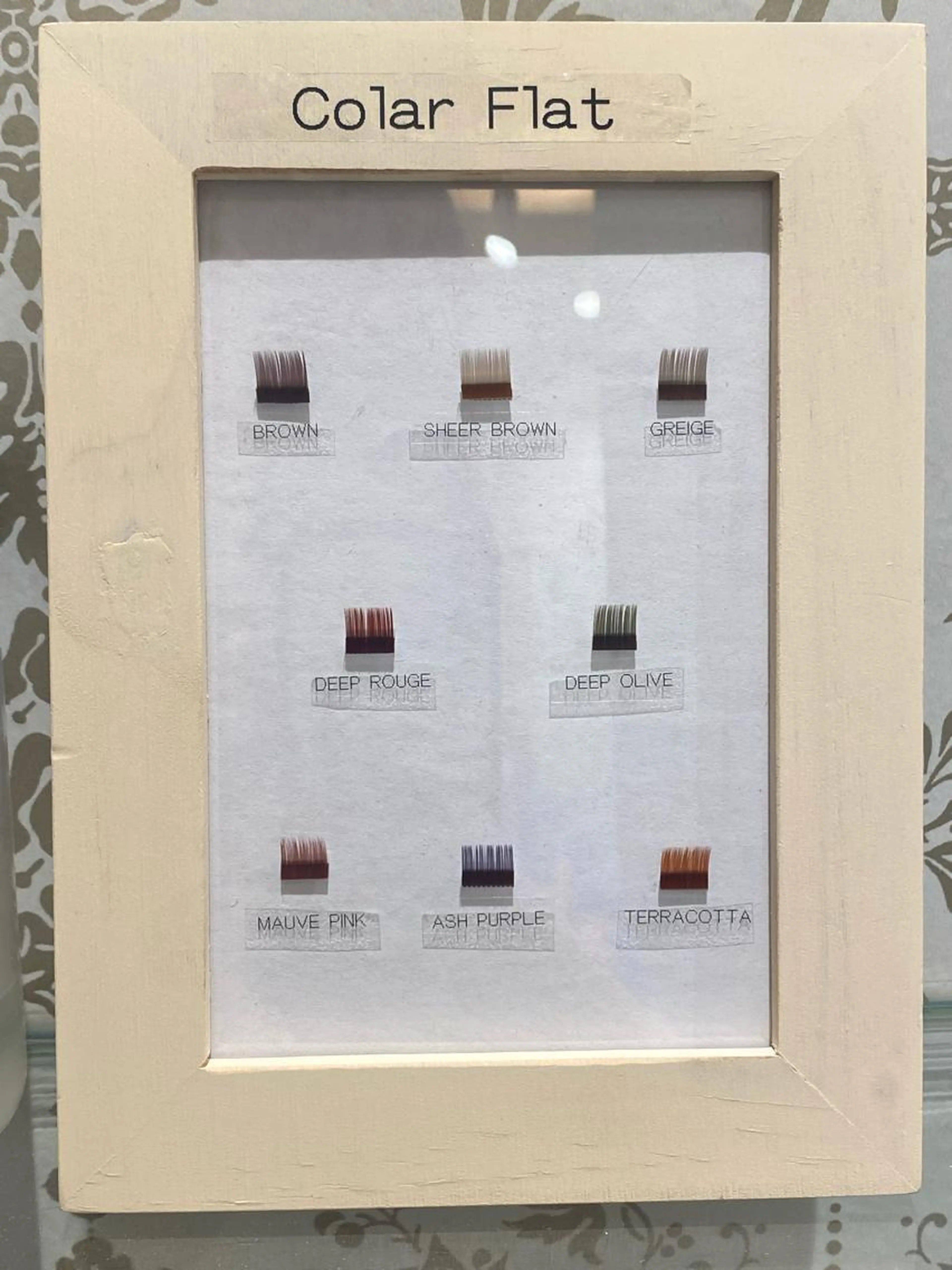 🌻カラーフラット　140本🌻(再来＋550円)の写真