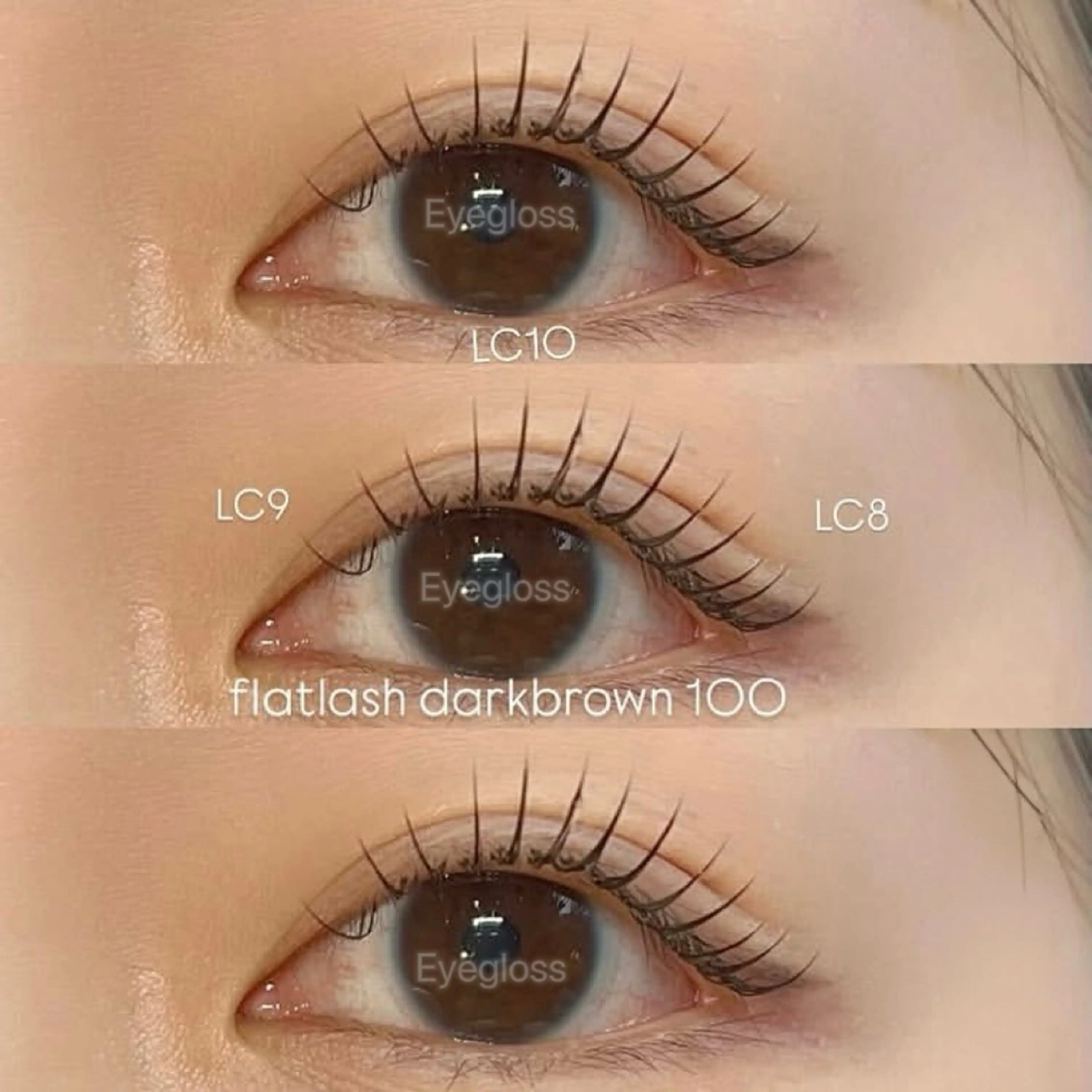 マツエク・マツパ マツエク Eye Glossのマツエク・マツパデザイン