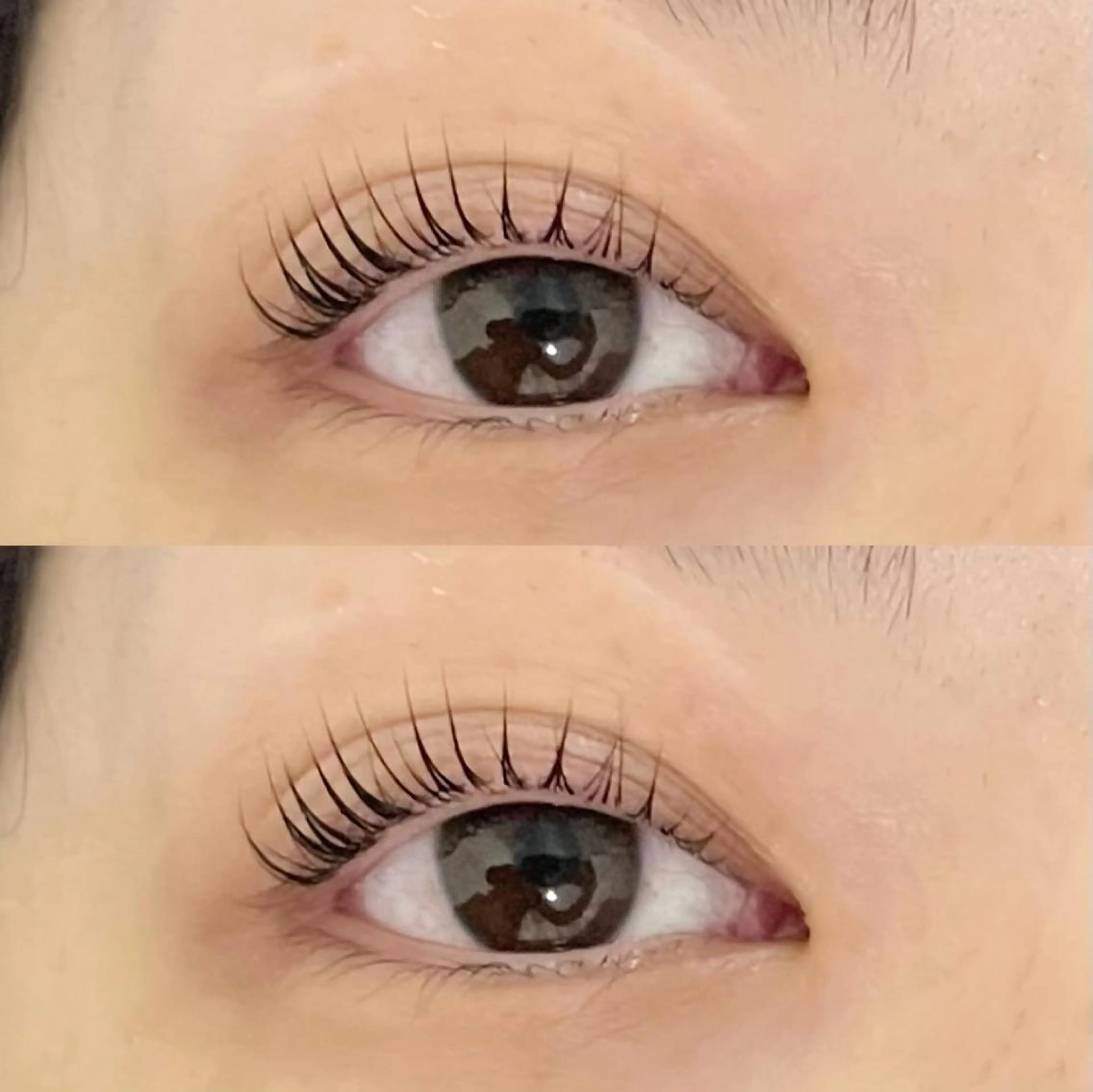 マツエク・マツパ マツパ Bunny eyes NEWOTANI博多のマツエク・マツパデザイン