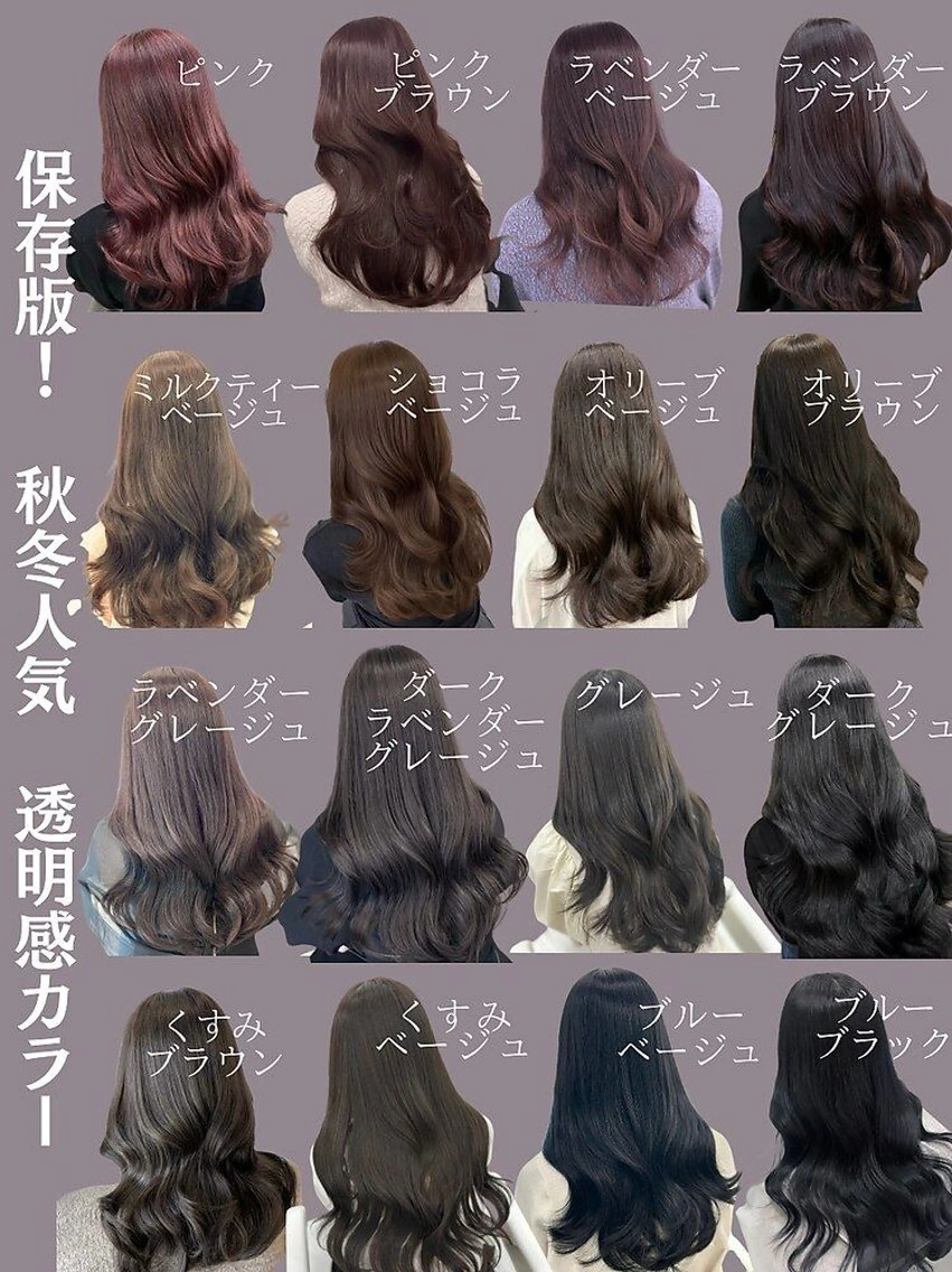 ワンカラーの写真