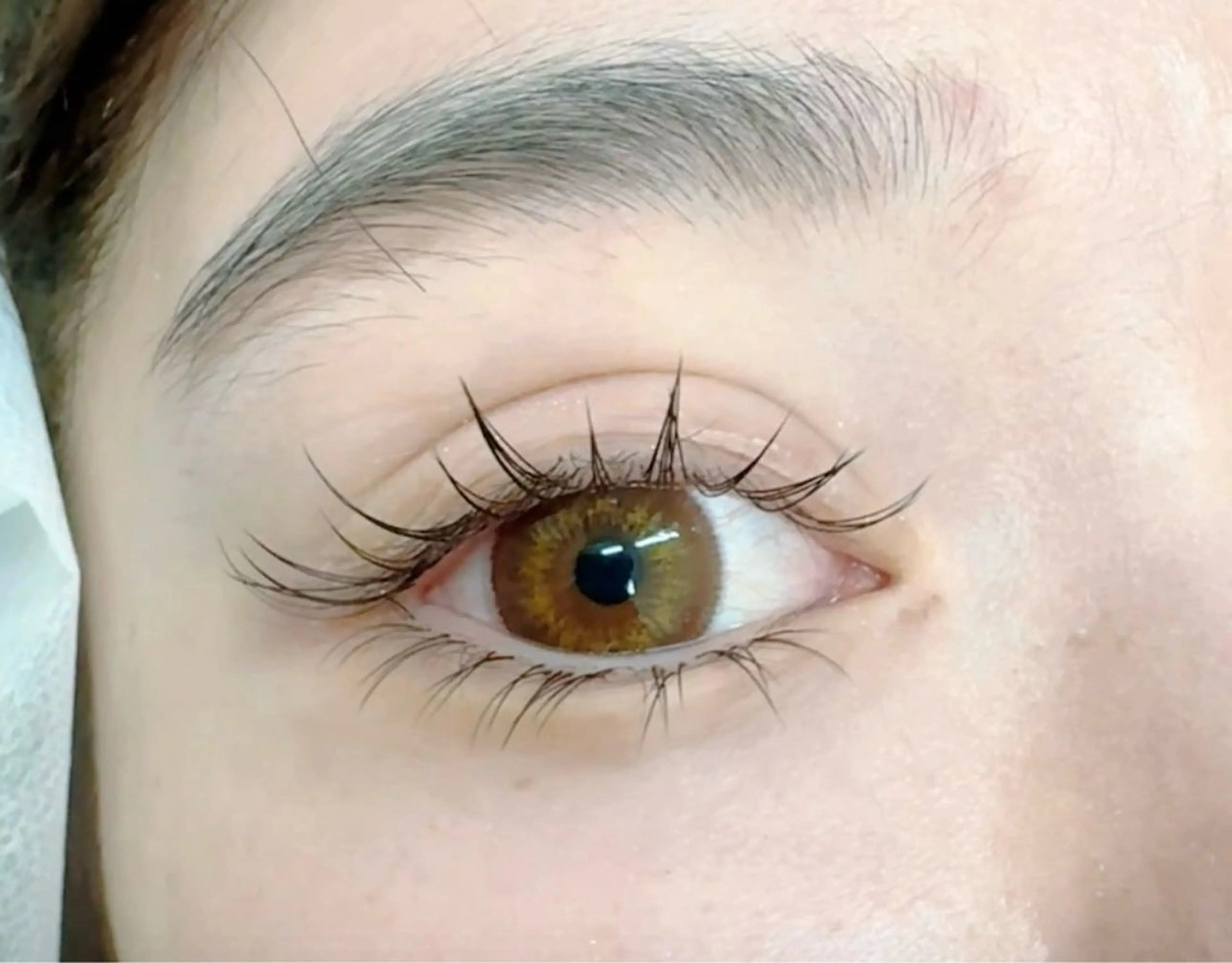 🍀新人気パリエク(パリジェンヌと漫画デザインフライトラッシュ毛120本)¥12,560の写真