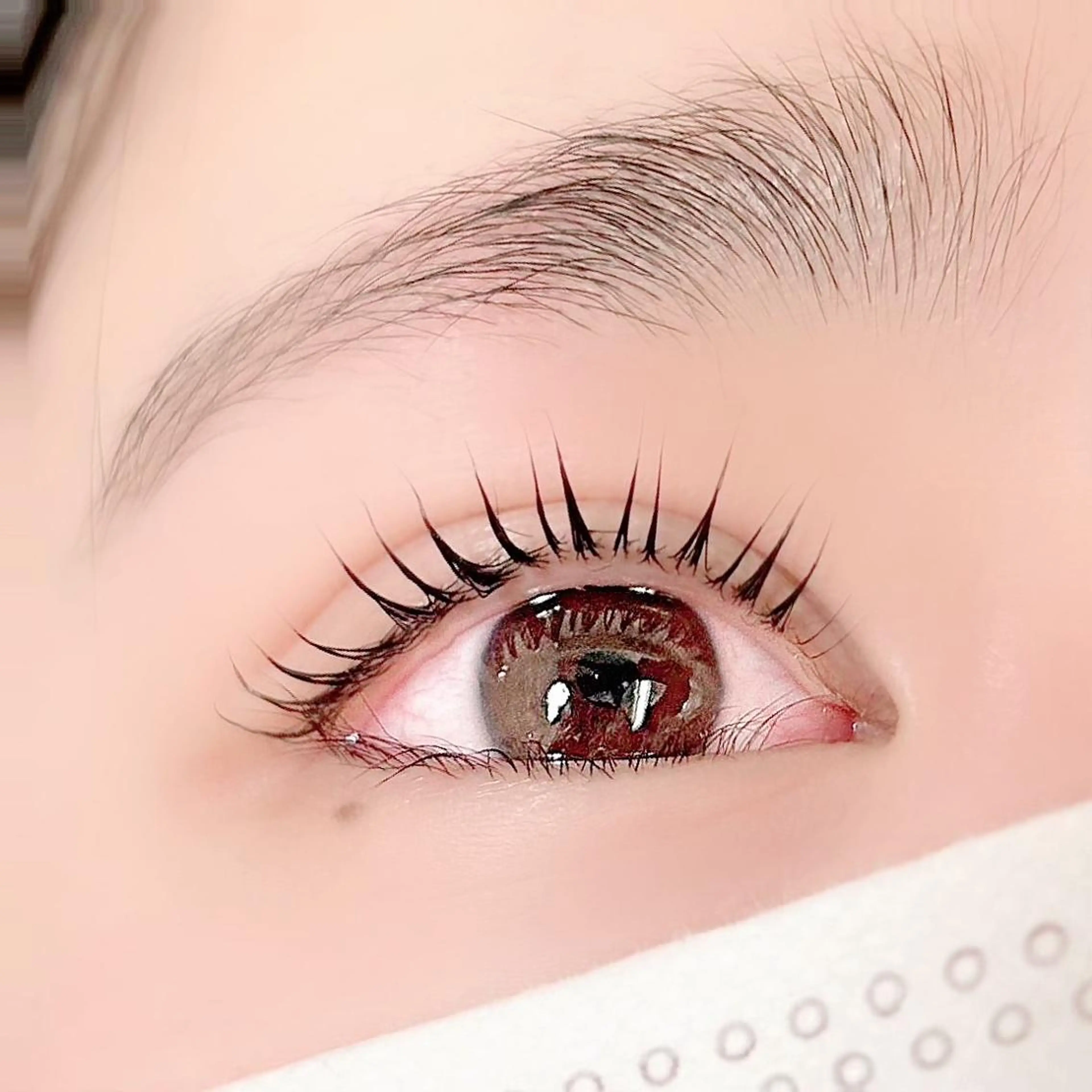 ｟✨韓国発👀💓》大人気☆ まつげパーマティント☆まつげ濃さが今すぐ欲しい方❣️ 5,580円[銀座・東銀座]の写真