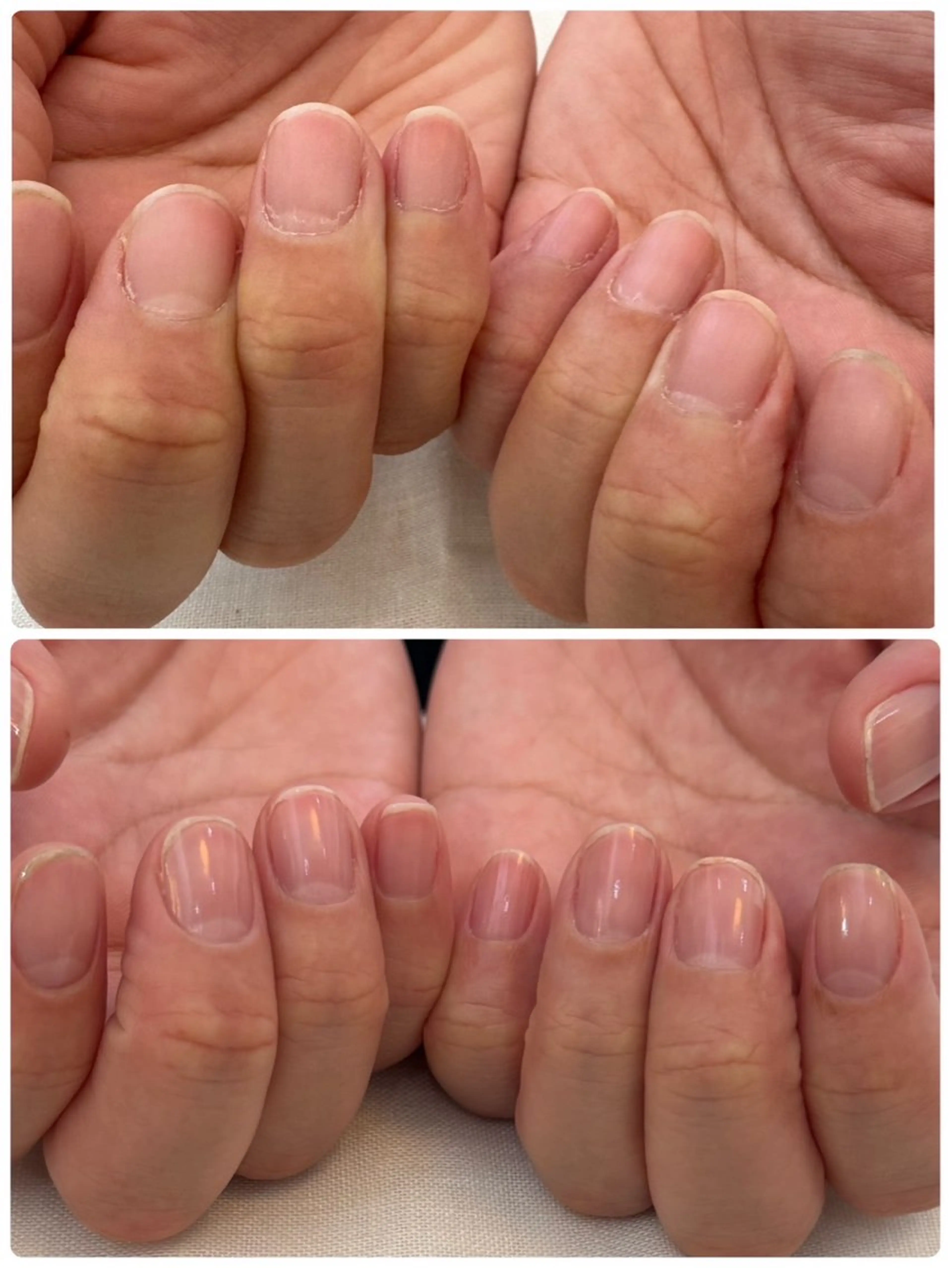 ネイル RIM 🕊️ 恵比寿／ジュニアのマツエク・マツパデザイン