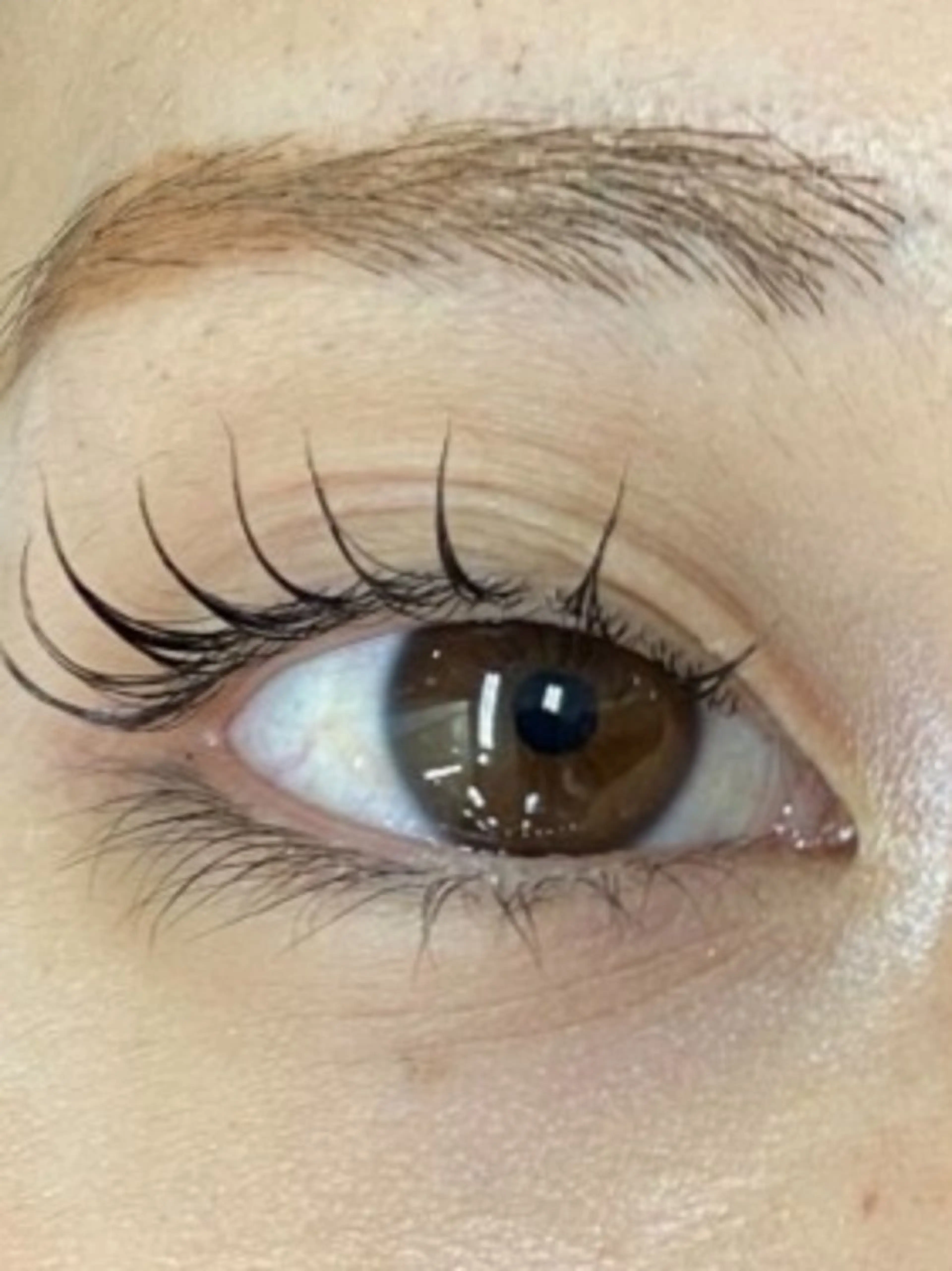 マツエク・マツパ 🫧🐰渋谷. INOUE🐰🫧の眉毛・アイブロウイメージ