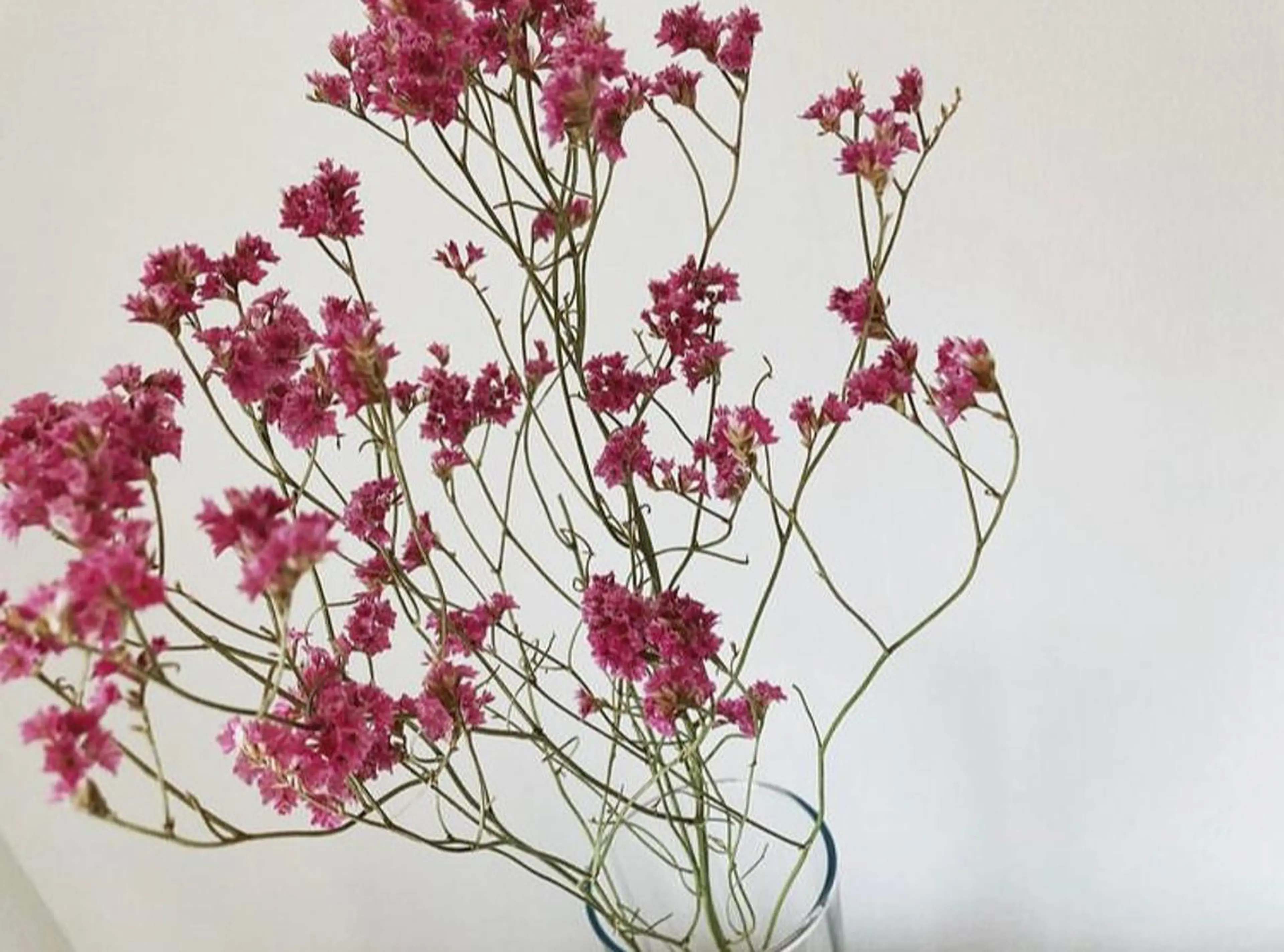 ネイルサロンアリューム所属・ネイルサロン アリュームのネイルデザイン