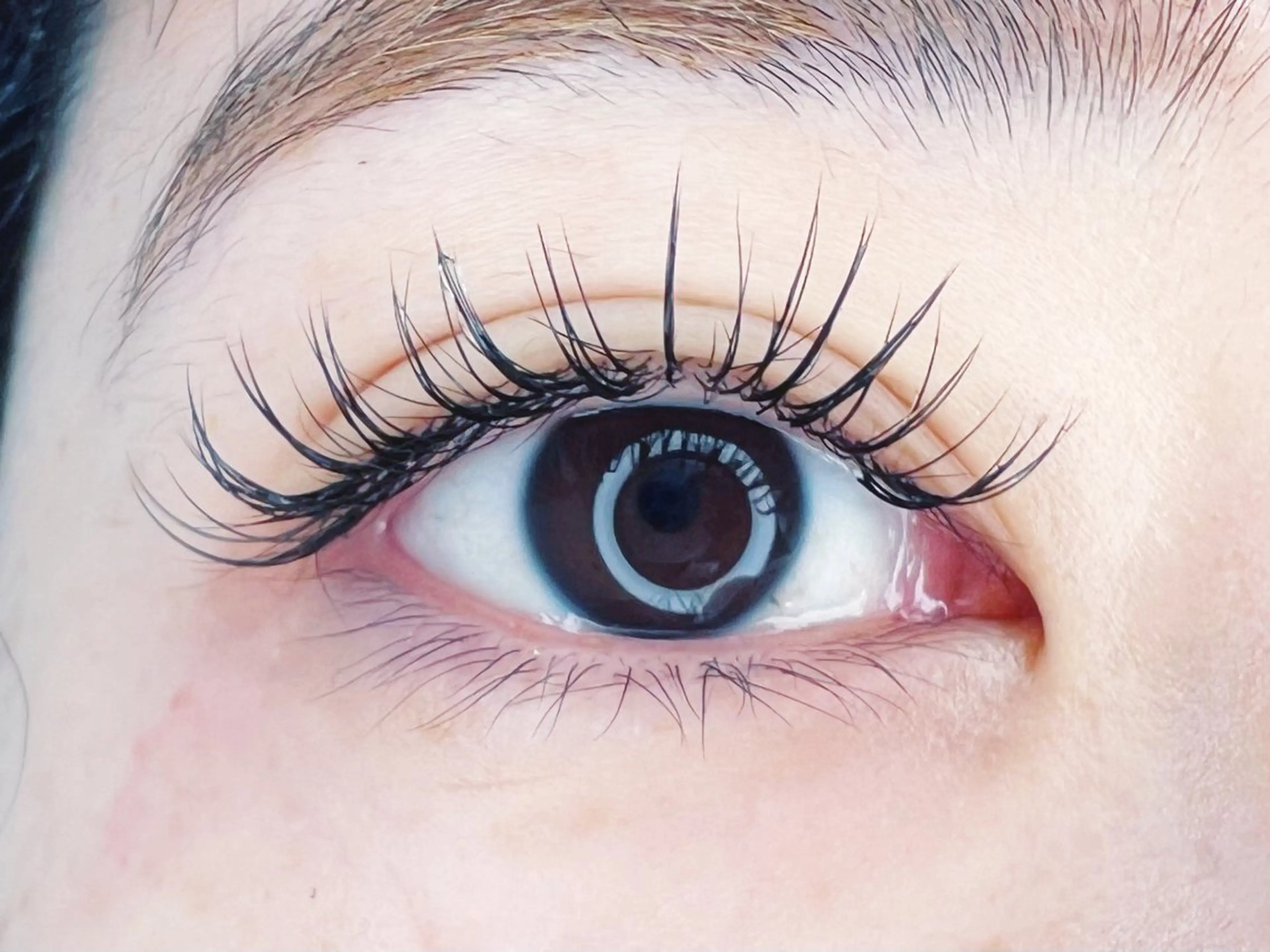 ⚠️遅刻不可⚠️LED×フラットラッシュ50本💗✨オフ不可・お付けたしコース💫リピーター様のみの写真