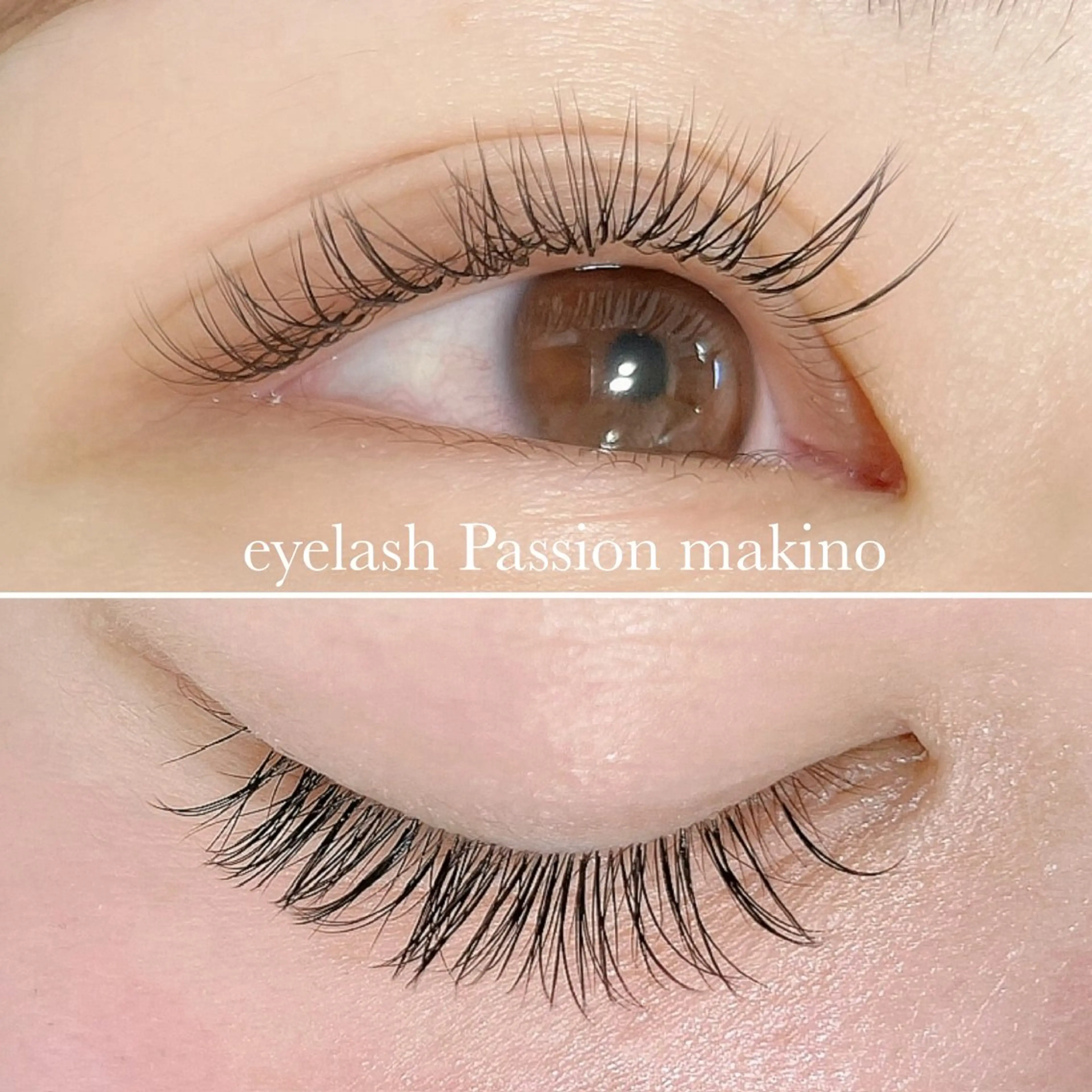マツエク・マツパ Total beauty  Passion 枚方牧野店所属・eyelash Passion 木下のマツエク・マツパデザイン