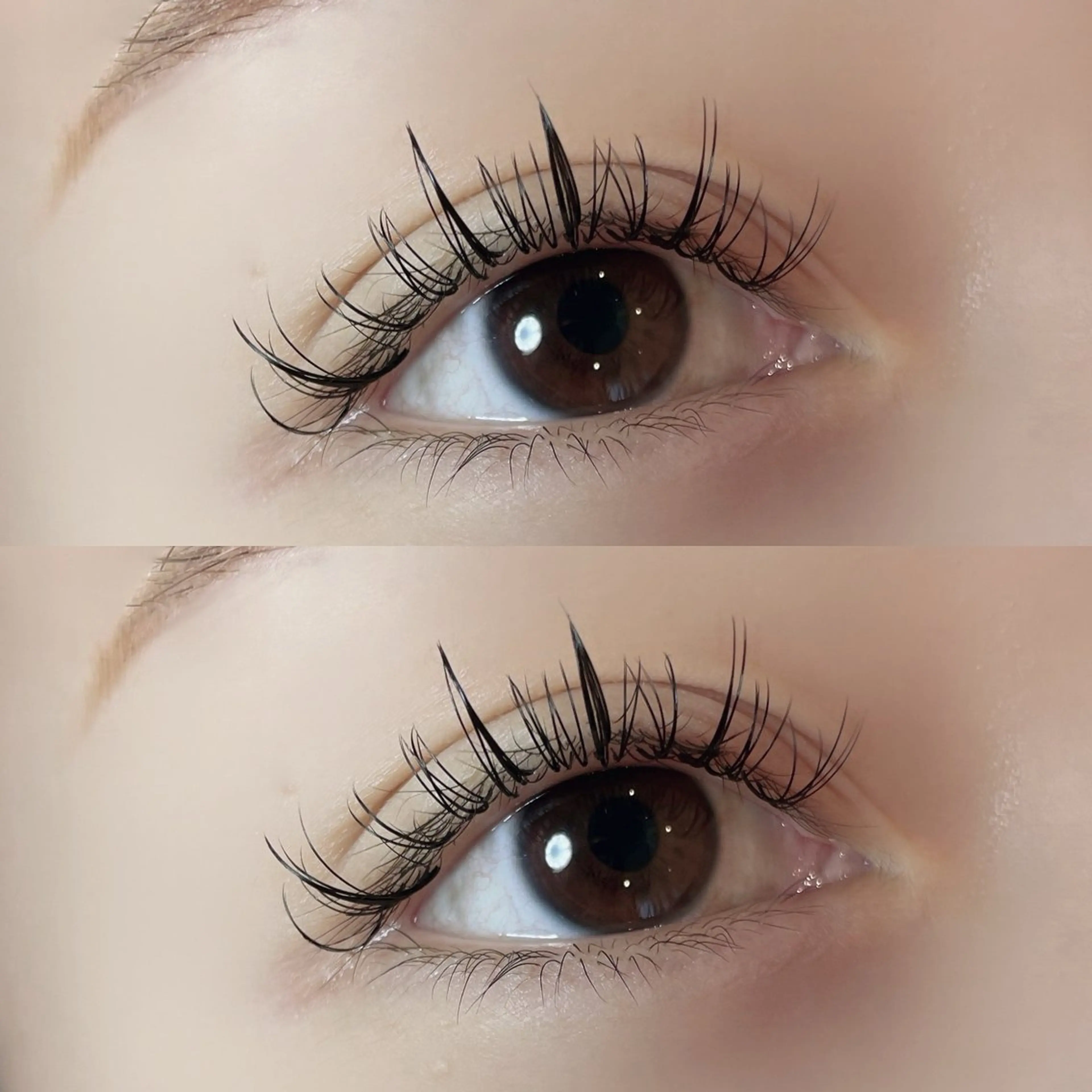 マツエク・マツパ 束感まつ毛 Dカール ワンホンマツエク lit yurina🐈‍⬛のマツエク・マツパデザイン