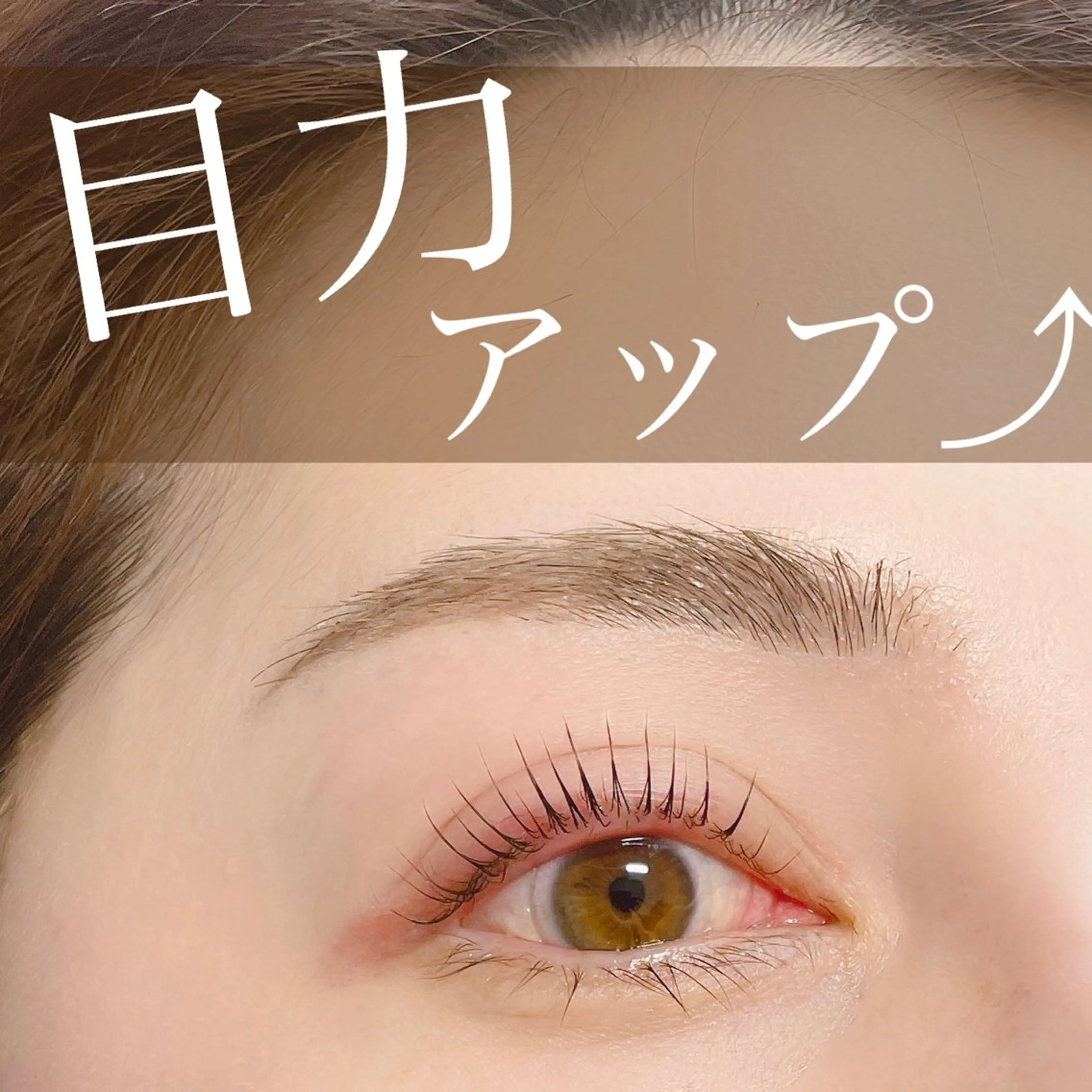 マツエク・マツパ マツパ N.natura所属・五藤 なみのマツエク・マツパデザイン