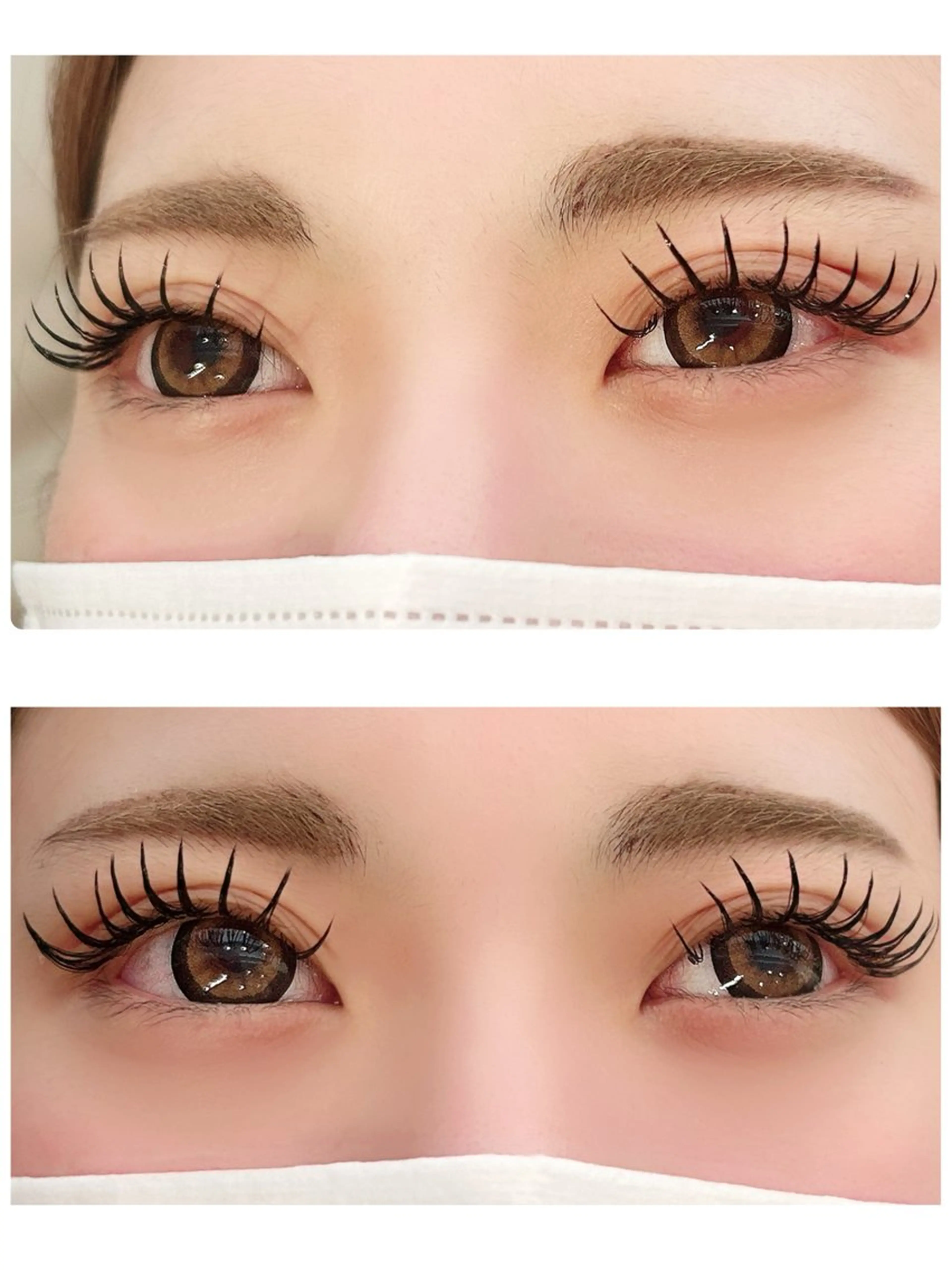 🦋LEDエクステ🦋バインドロック140束🫧オフ•仕上げコーティング込🫧の写真