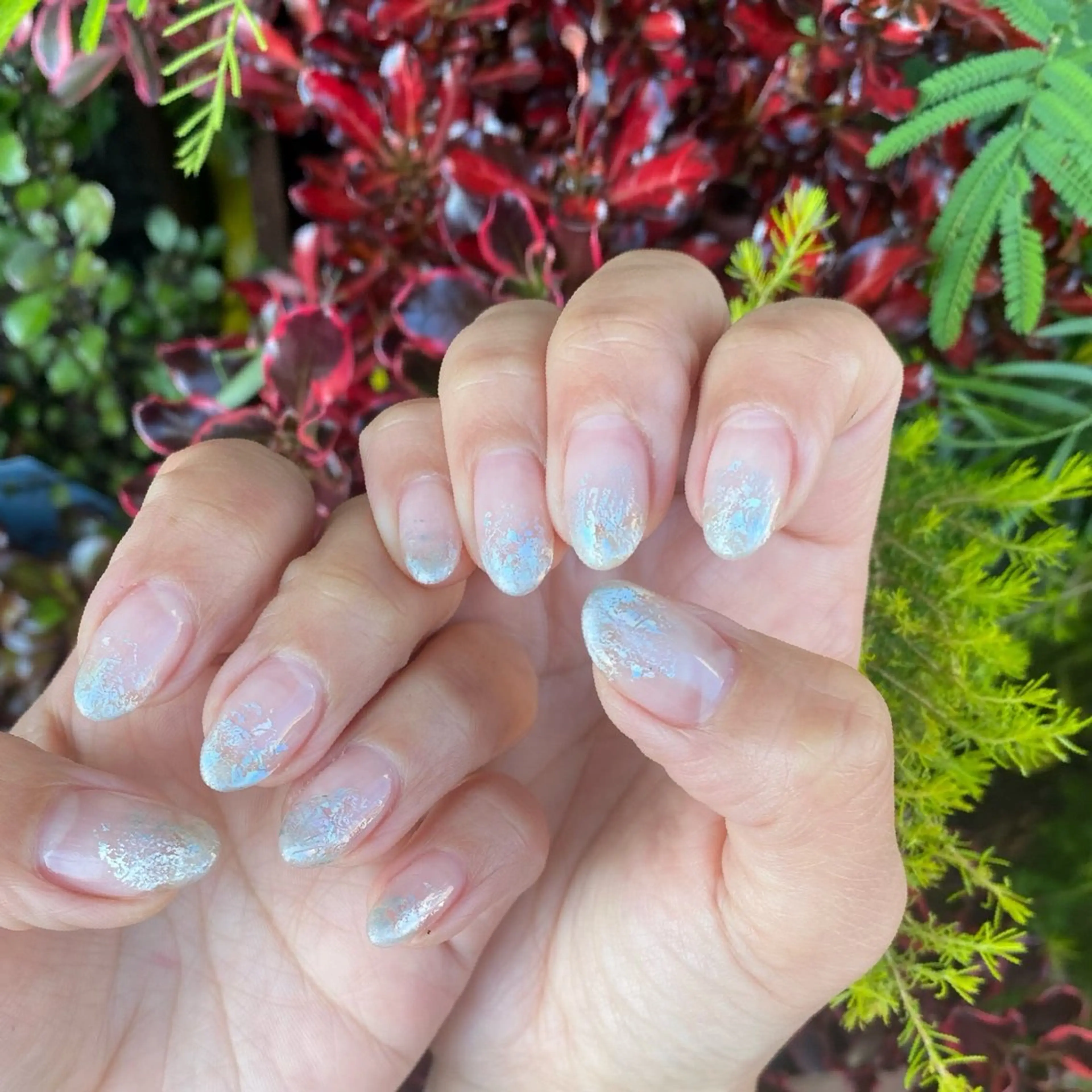 ネイル グラデーション m. akiのネイルデザイン