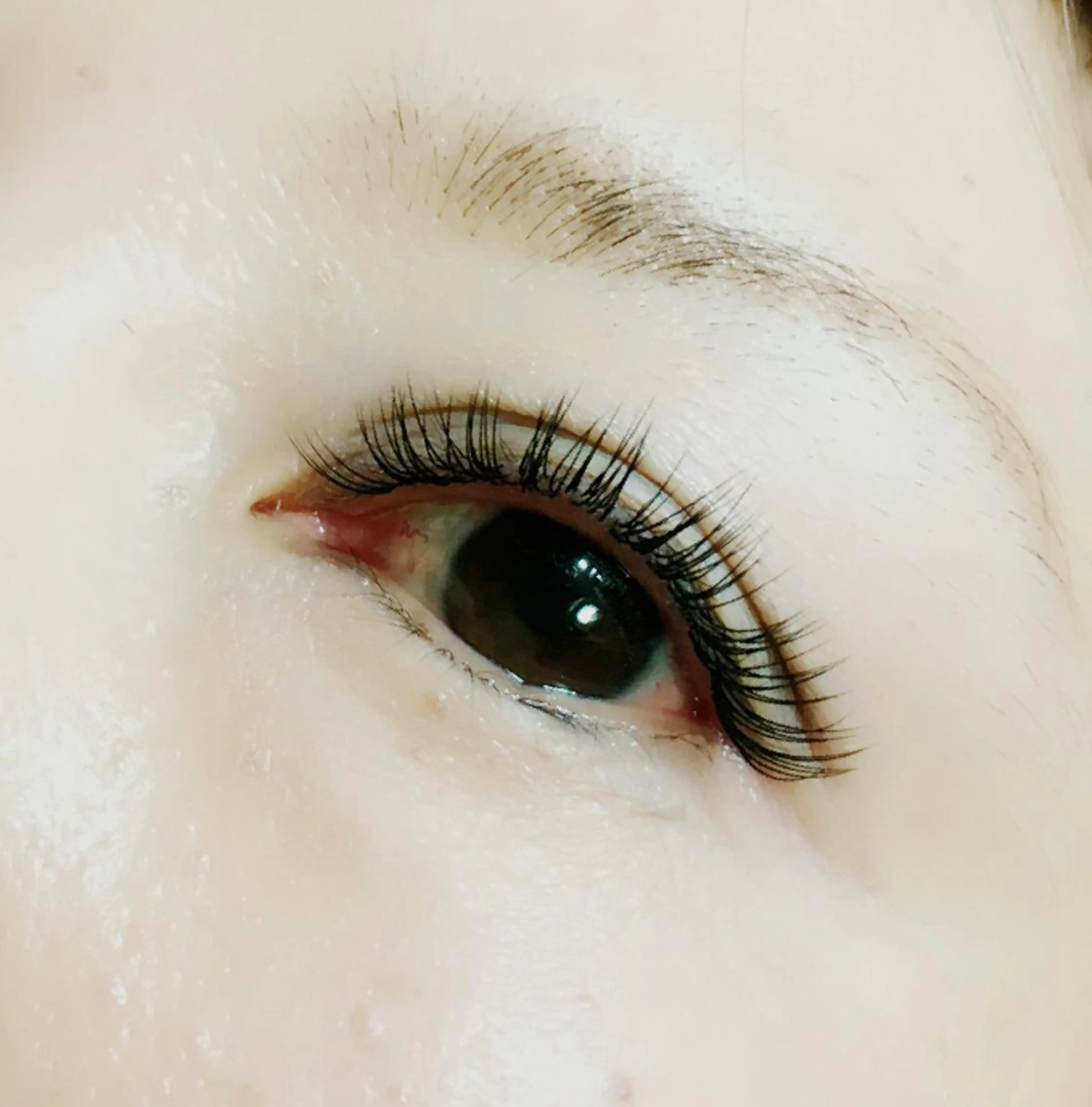 マツエク・マツパ まつげと眉毛の専門店 MeriSPAのマツエク・マツパデザイン