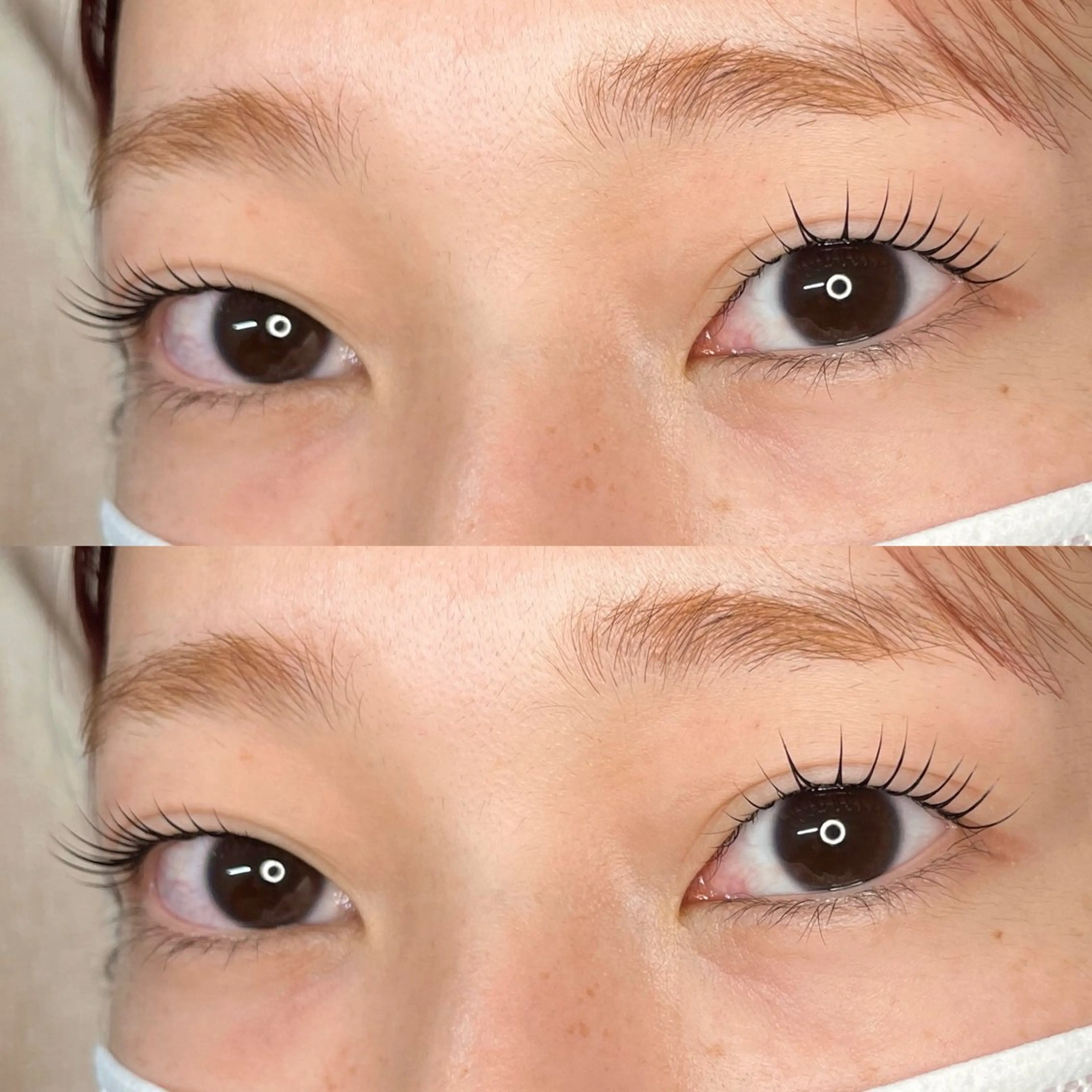 【初回限定】パリジェンヌラッシュリフト（次世代まつ毛パーマ/上）の写真