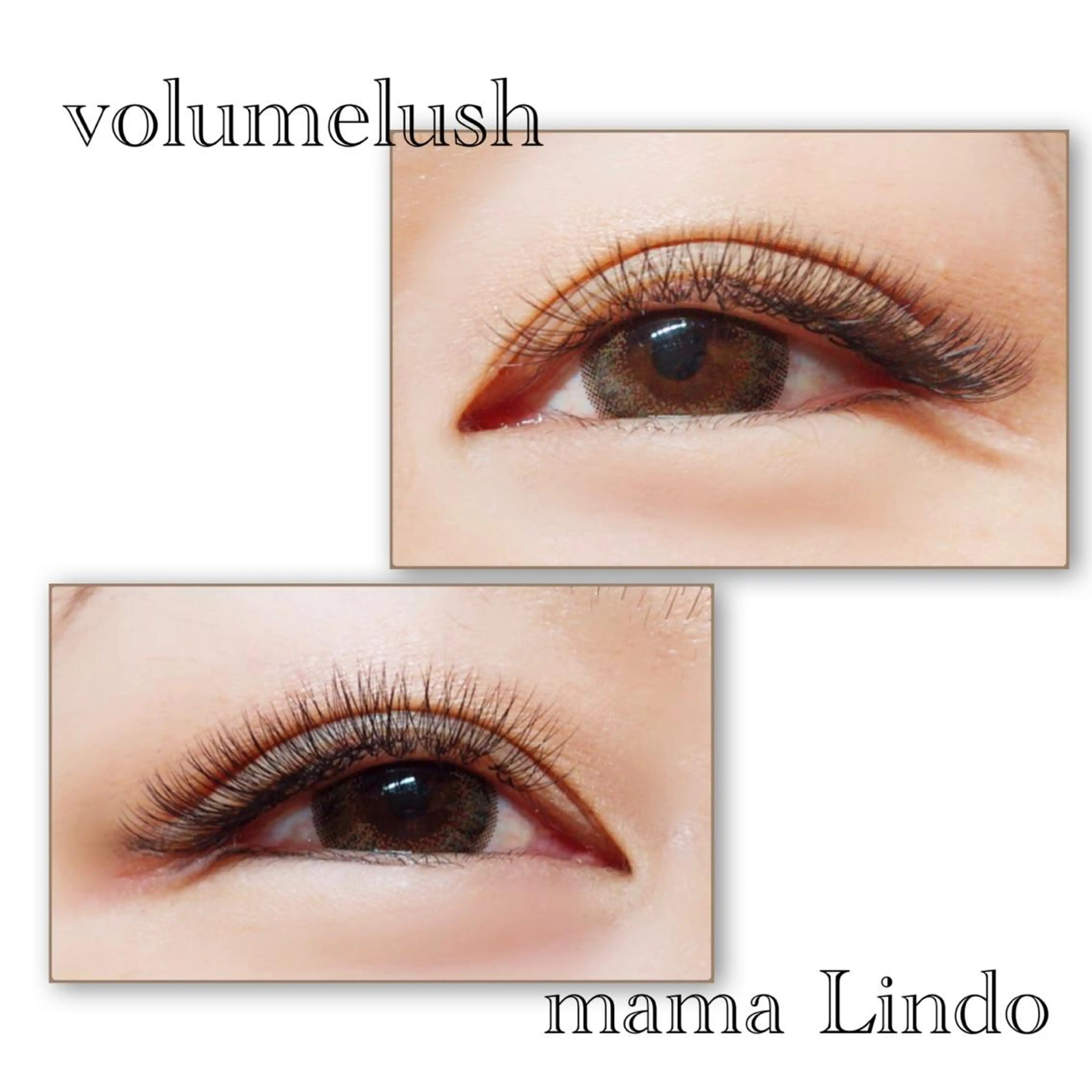 マツエク・マツパ ボリュームラッシュ マツエク mama Lindo所属・谷口 沙希のマツエク・マツパデザイン