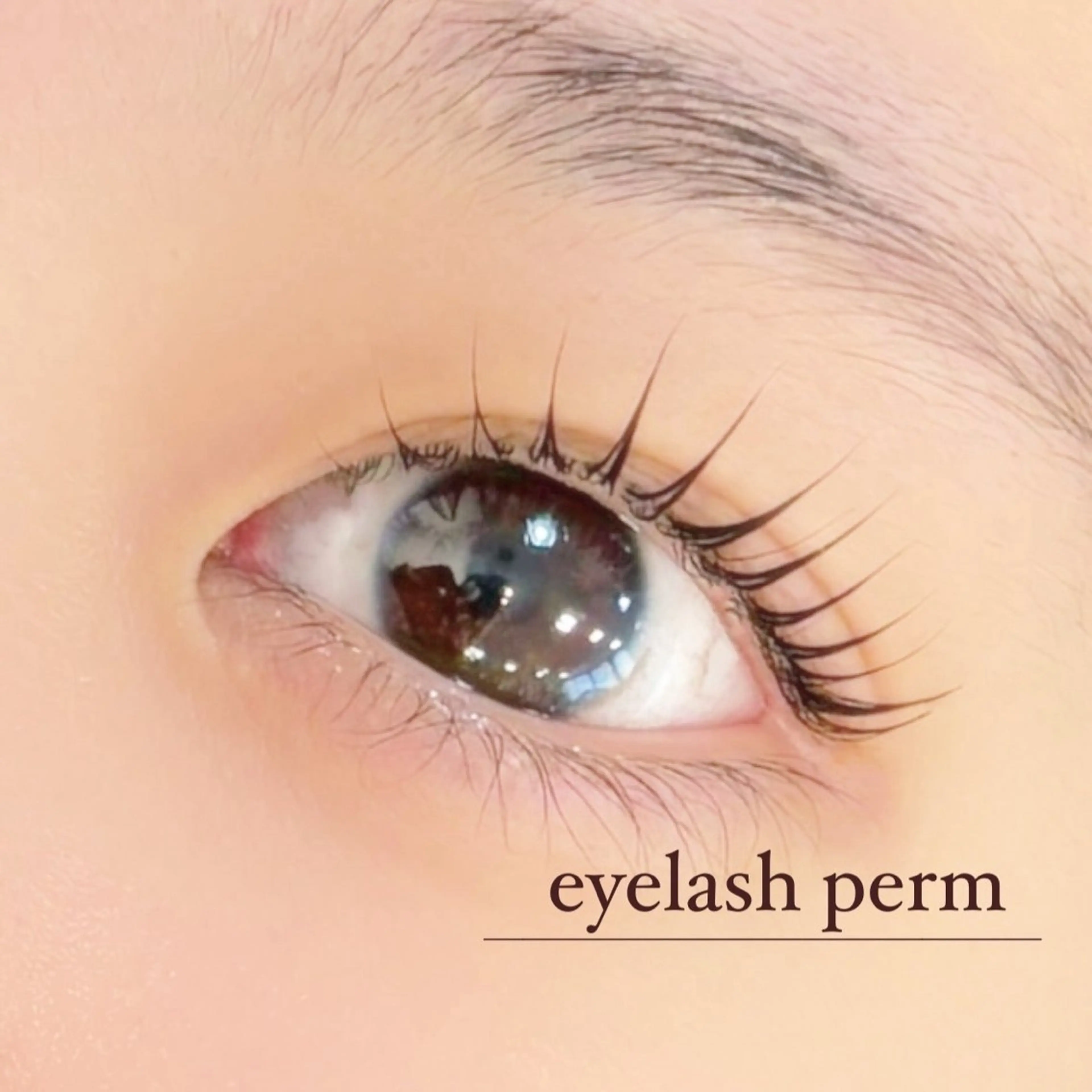 メンズ マツエク・マツパ メンズパーマ 束感まつ毛 パリジェンヌラッシュリフト 一重×まつ毛パーマ eyelashsalon I:belle by BINEL所属・【i:belle】 Rinのマツエク・マツパデザイン