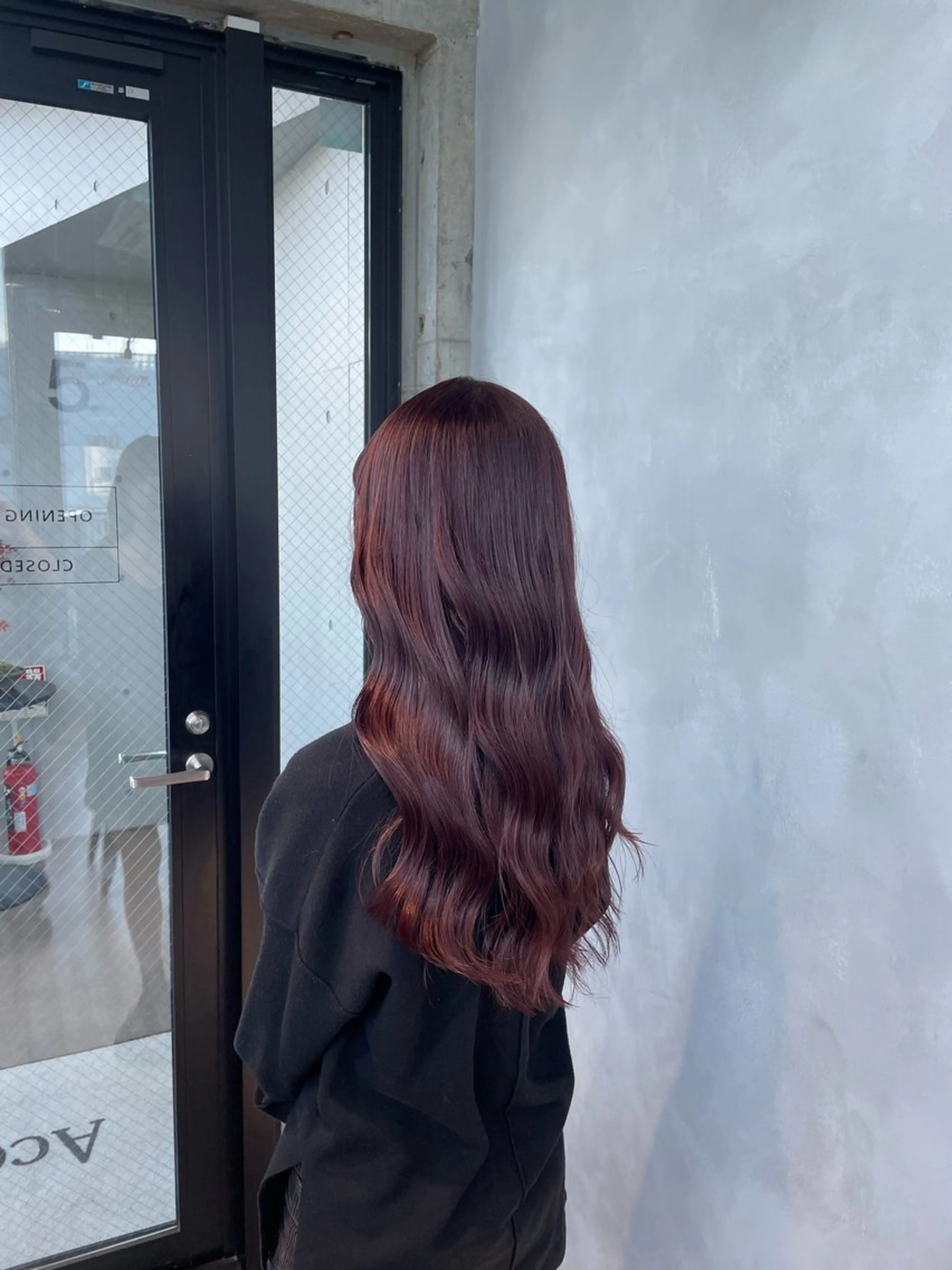 ロング カラー レッドカラー ヘアカラー 暖色/ハイトーン/ カラー/HBLのヘアスタイル