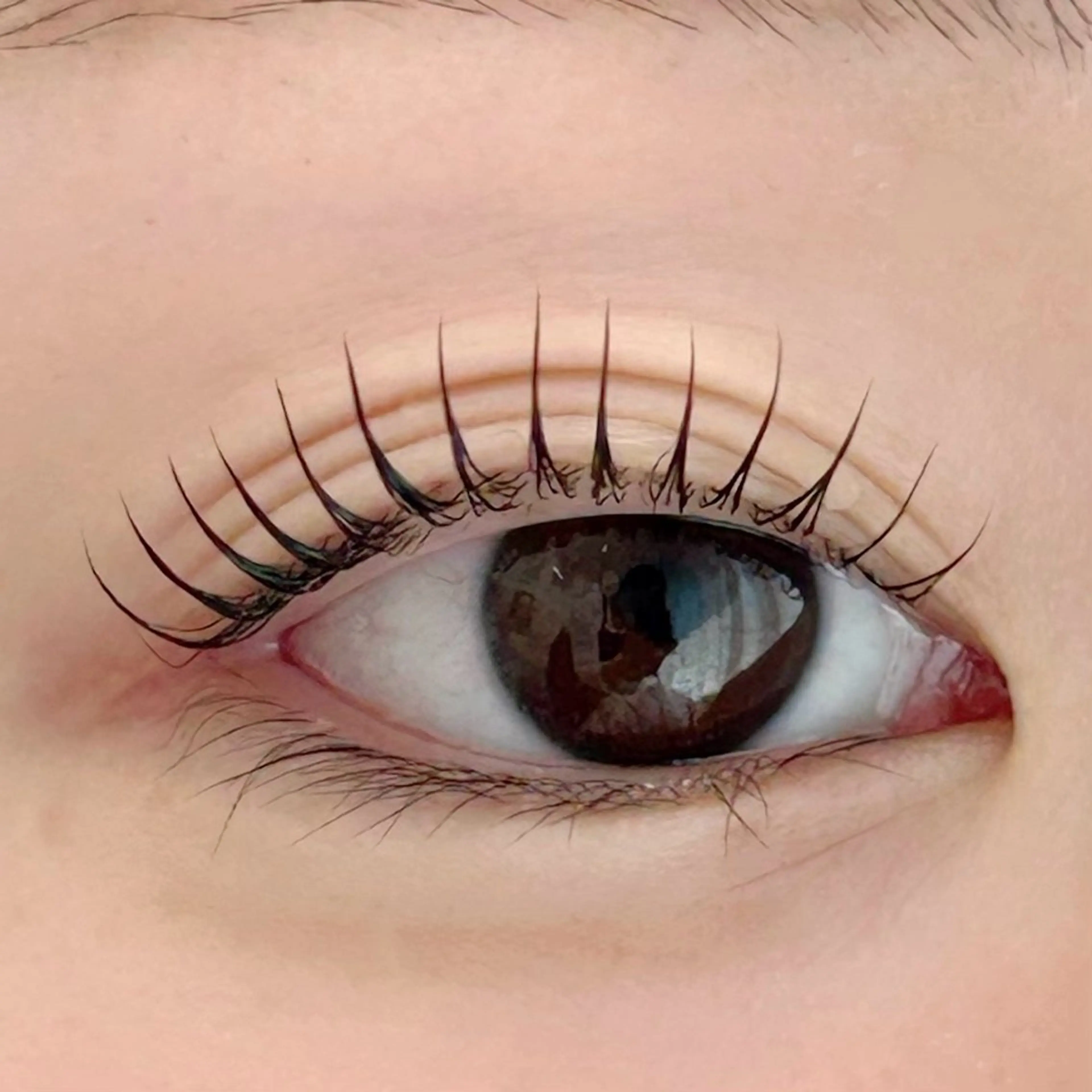 マツエク・マツパ パリジェンヌラッシュリフト 一重×まつ毛パーマ BellFlower Aki（眉・まつげ）のマツエク・マツパデザイン